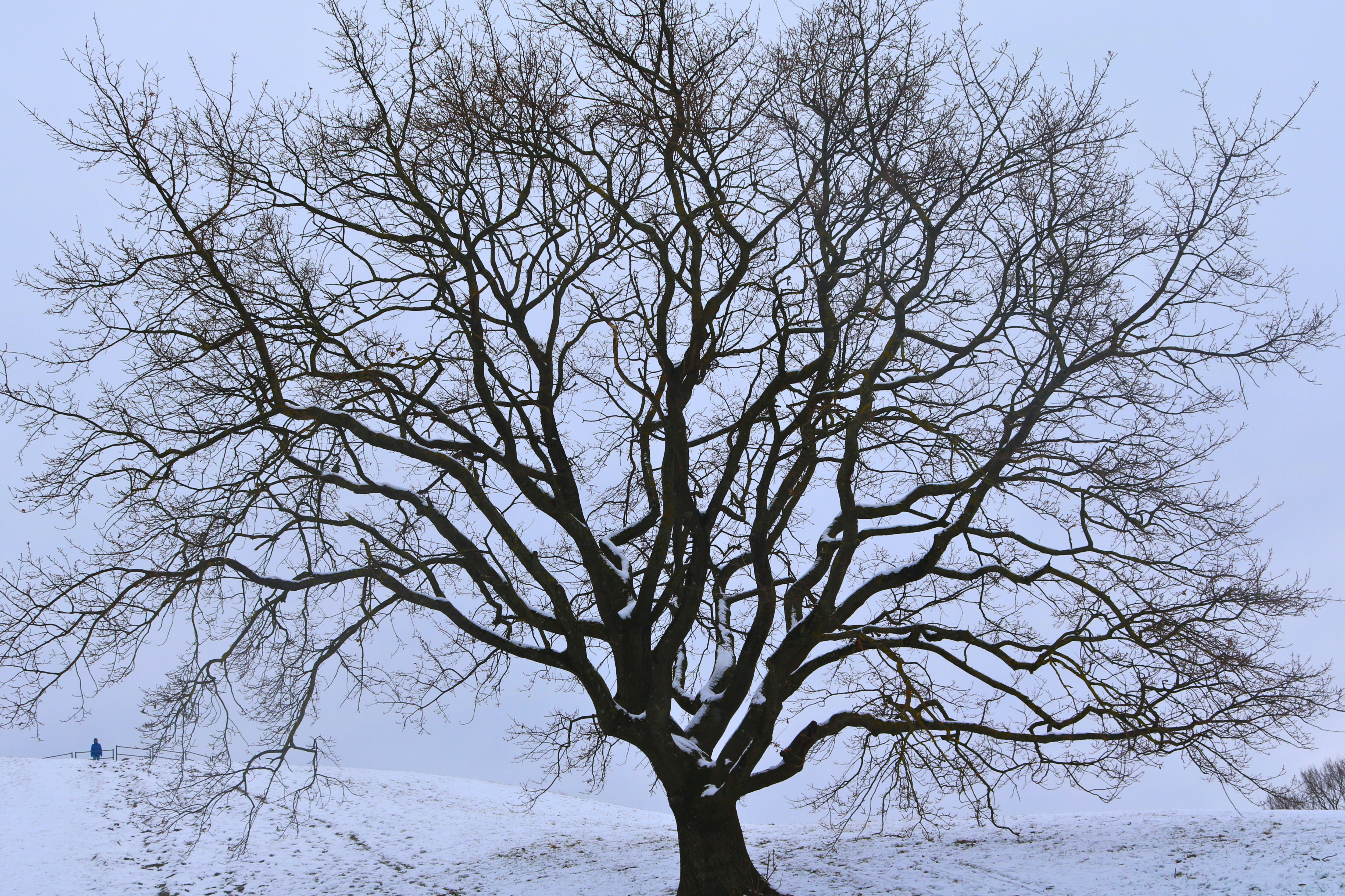 Photo by brunafisantos