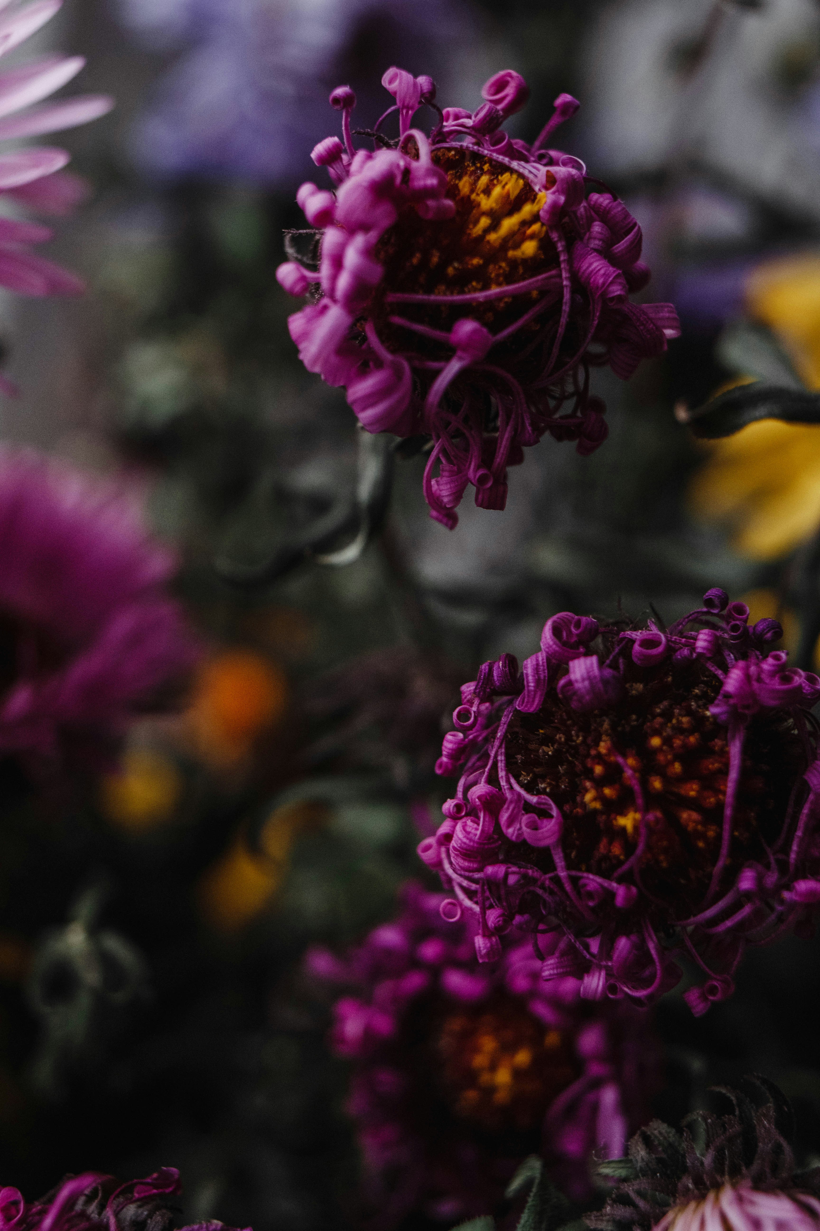 Photo by theveryday