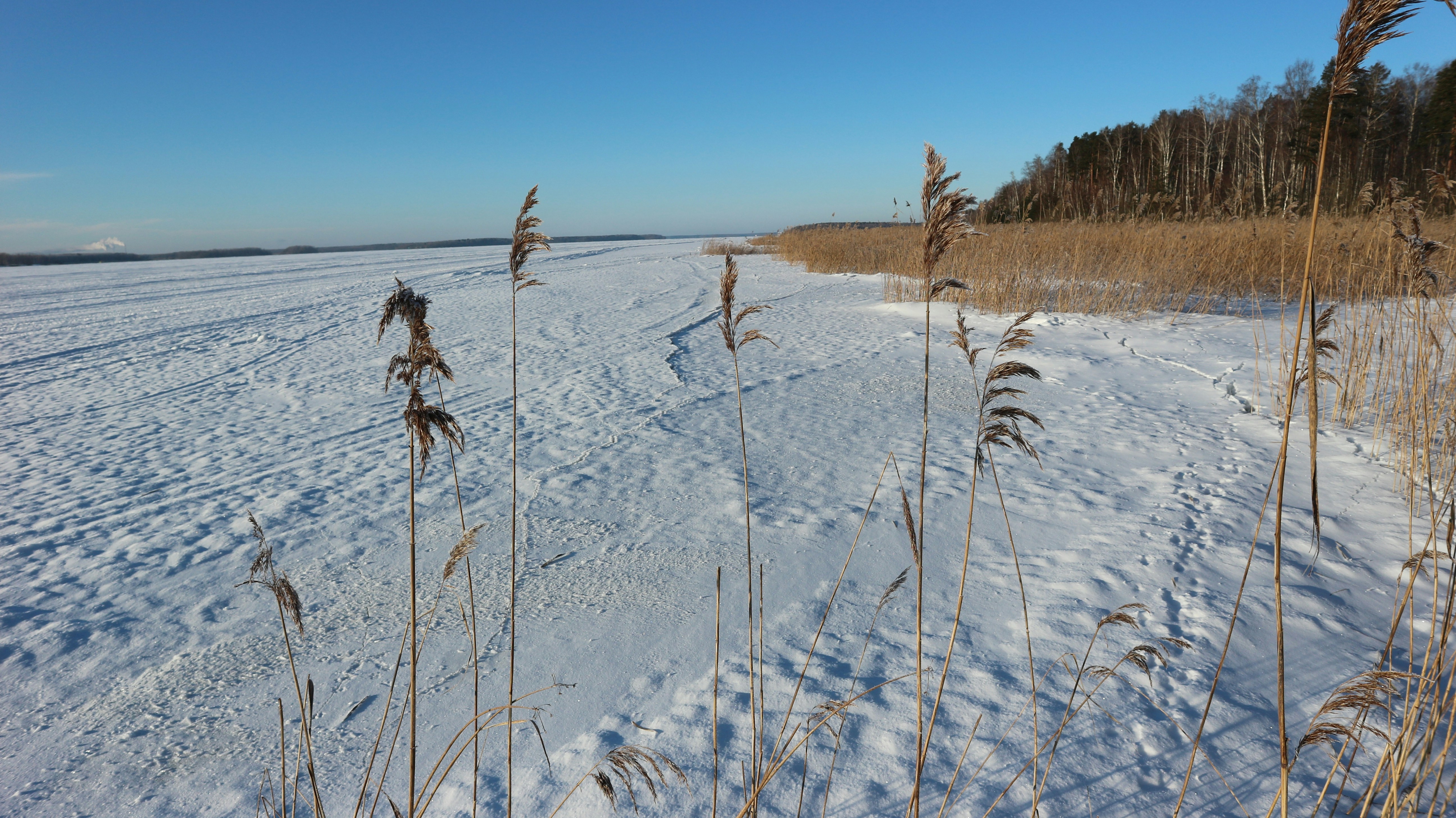 Photo by dubna30