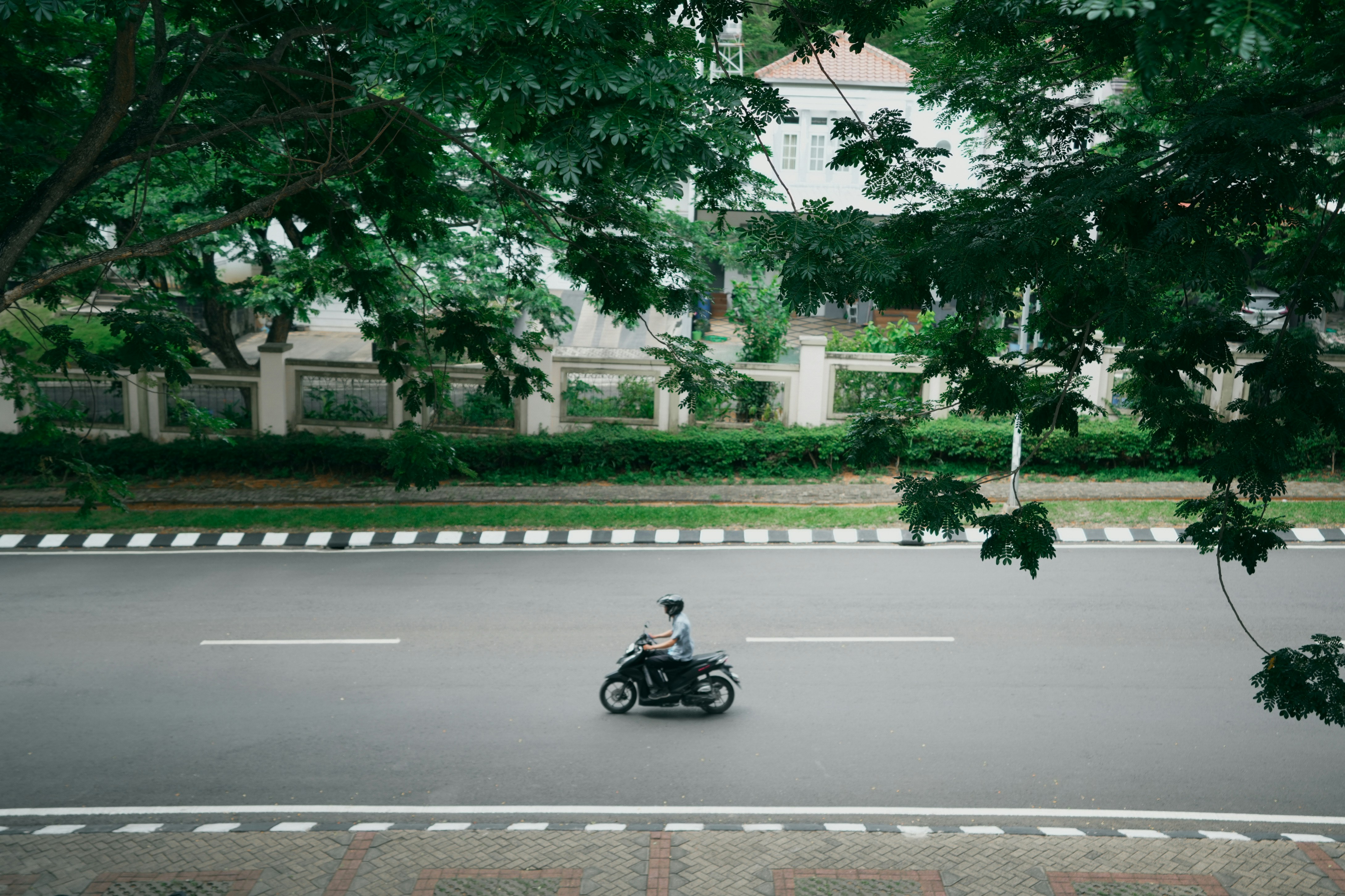 Photo by firman_muhammad