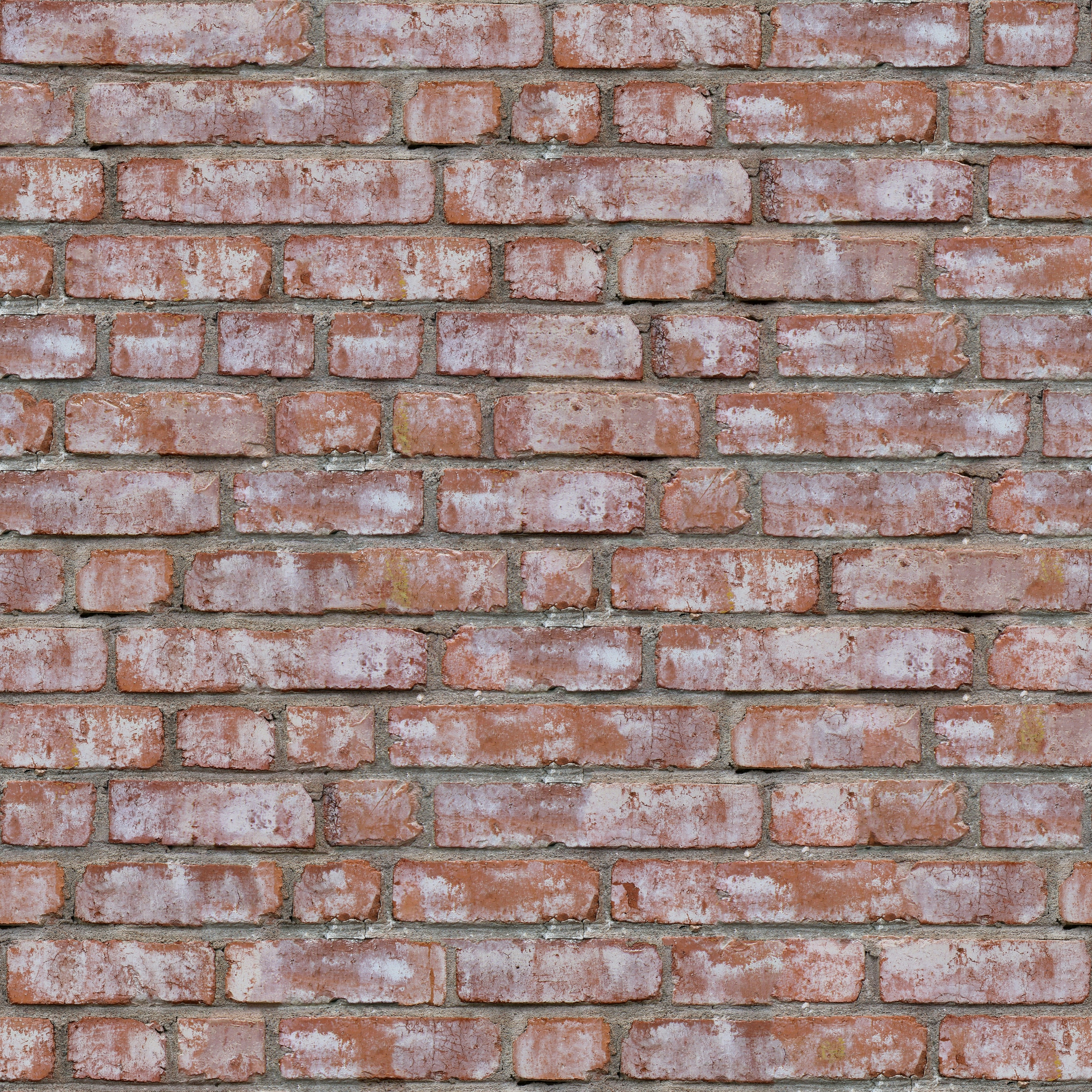 Photo by seamlesstextures