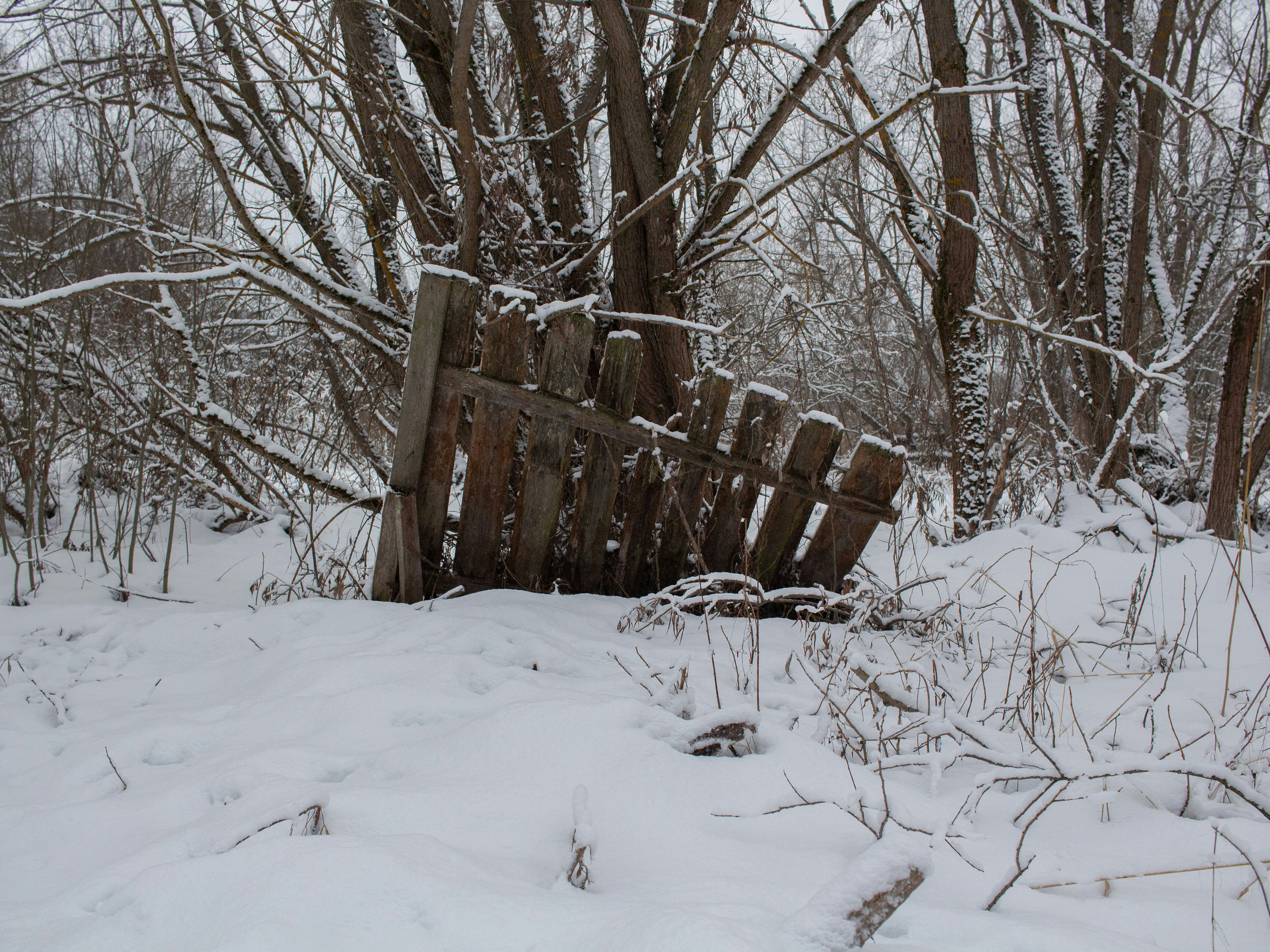 A wooden fence in the middle of a snowy forest