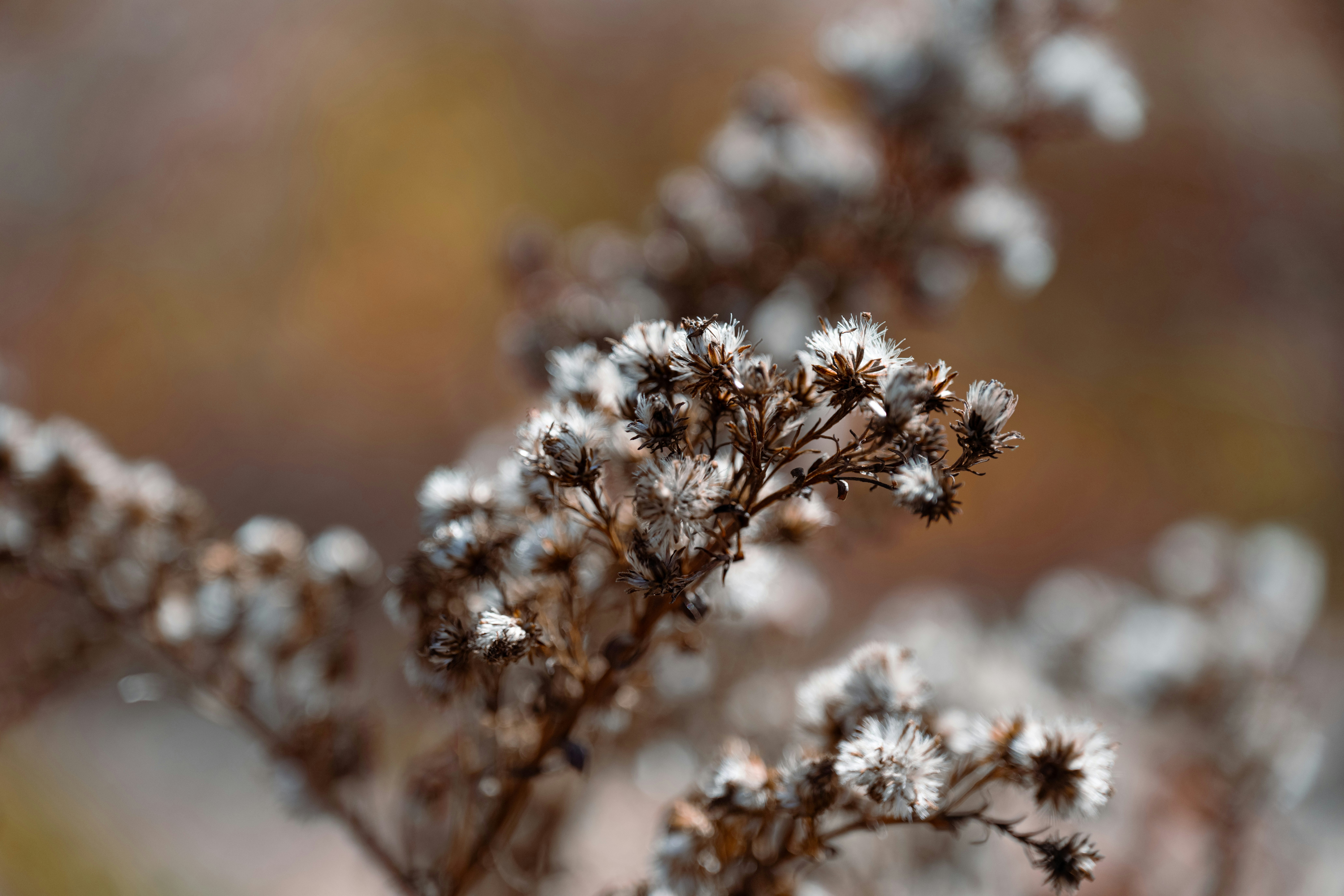 Photo by carterbilawchuk