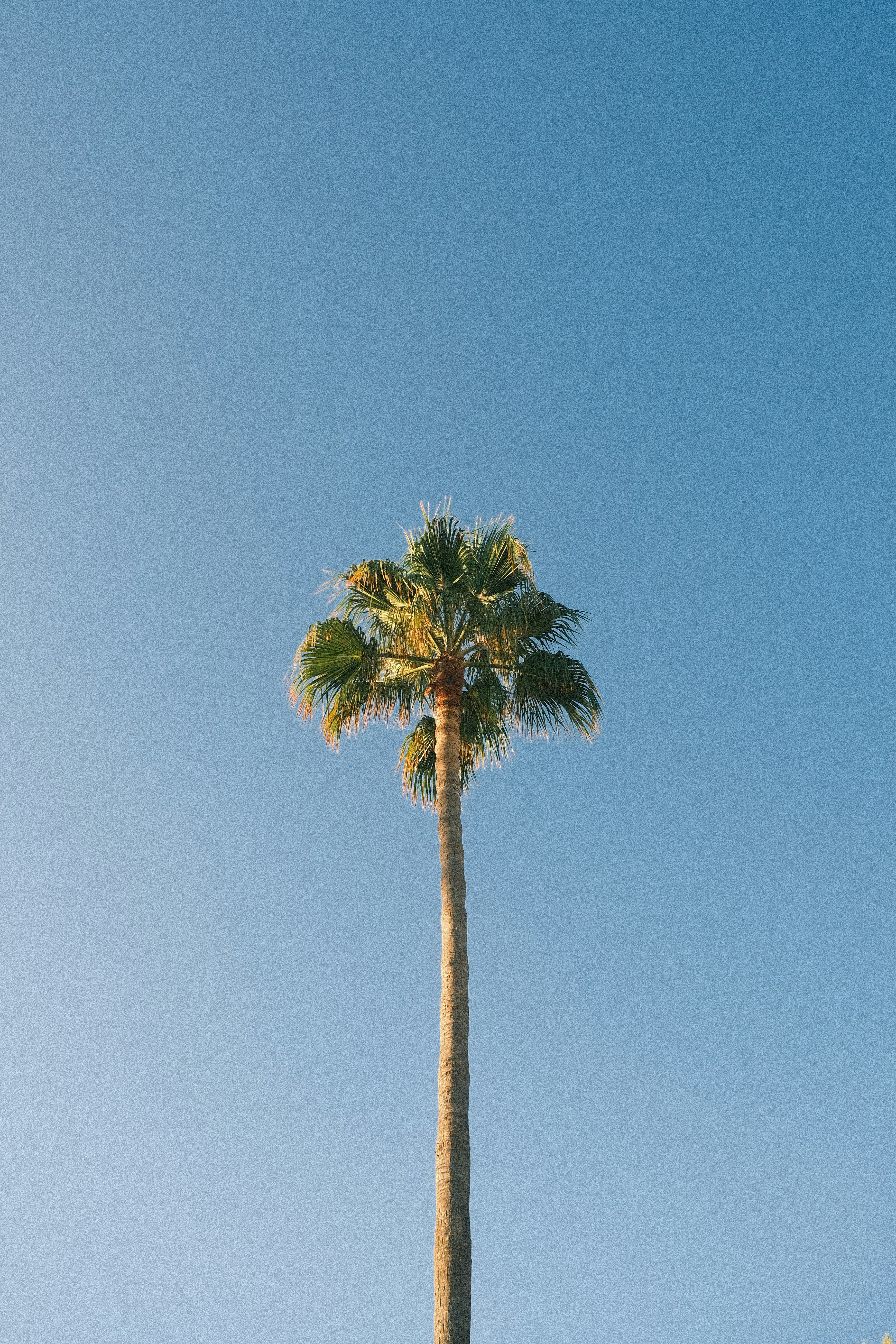 Photo by visualsbying