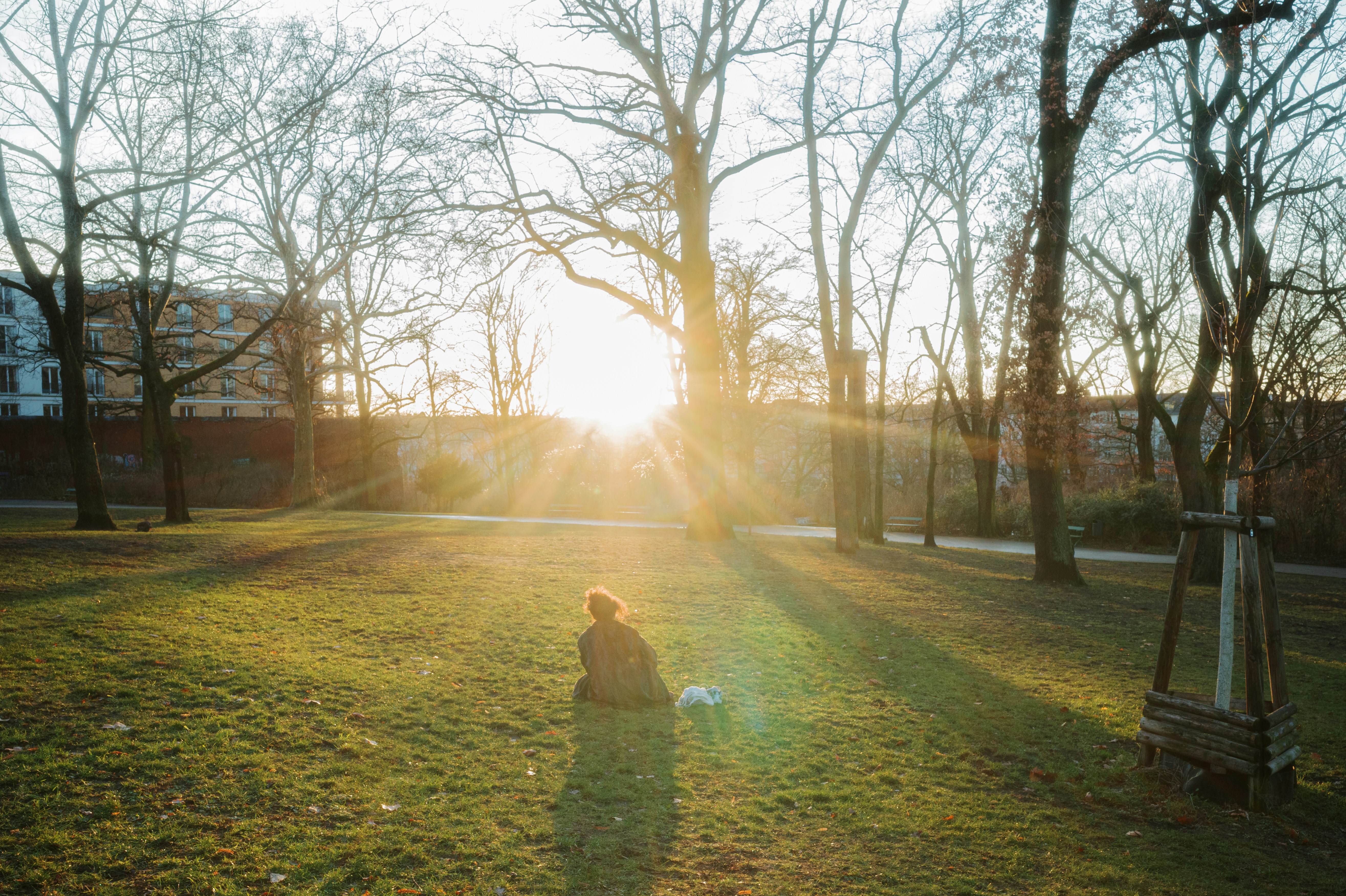 A person standing in a field with a dog