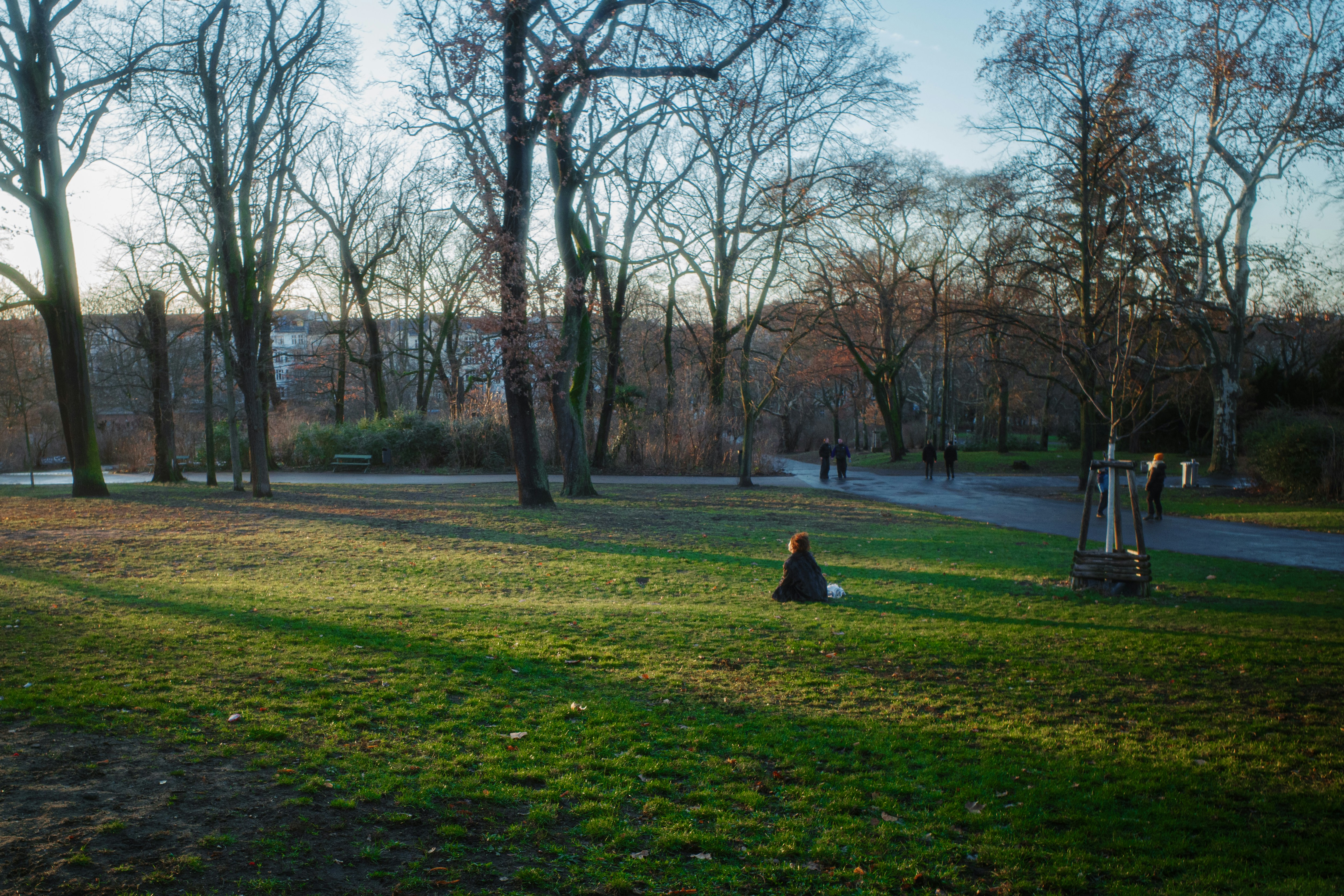 A person sitting on the grass in a park