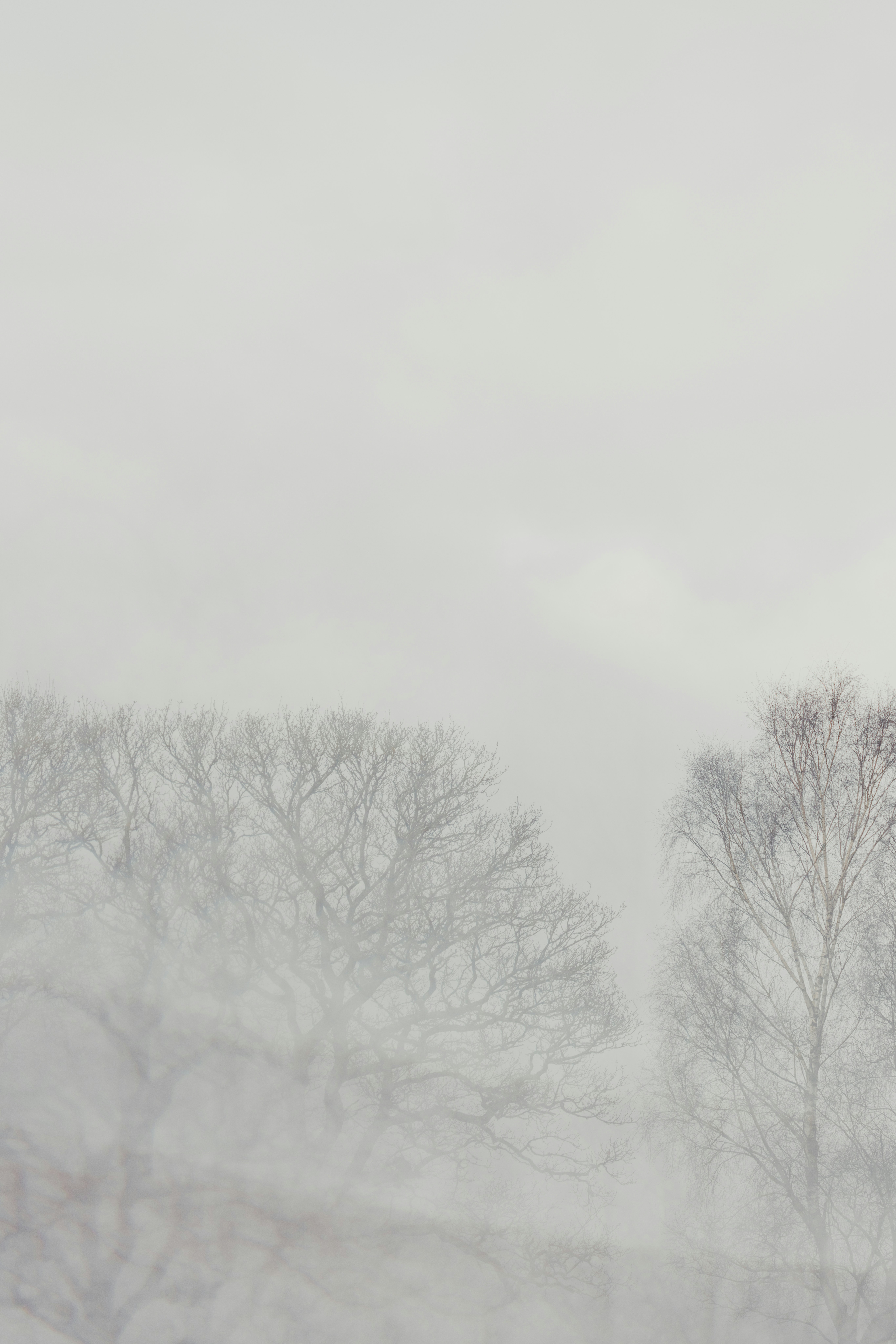 Photo by anniespratt