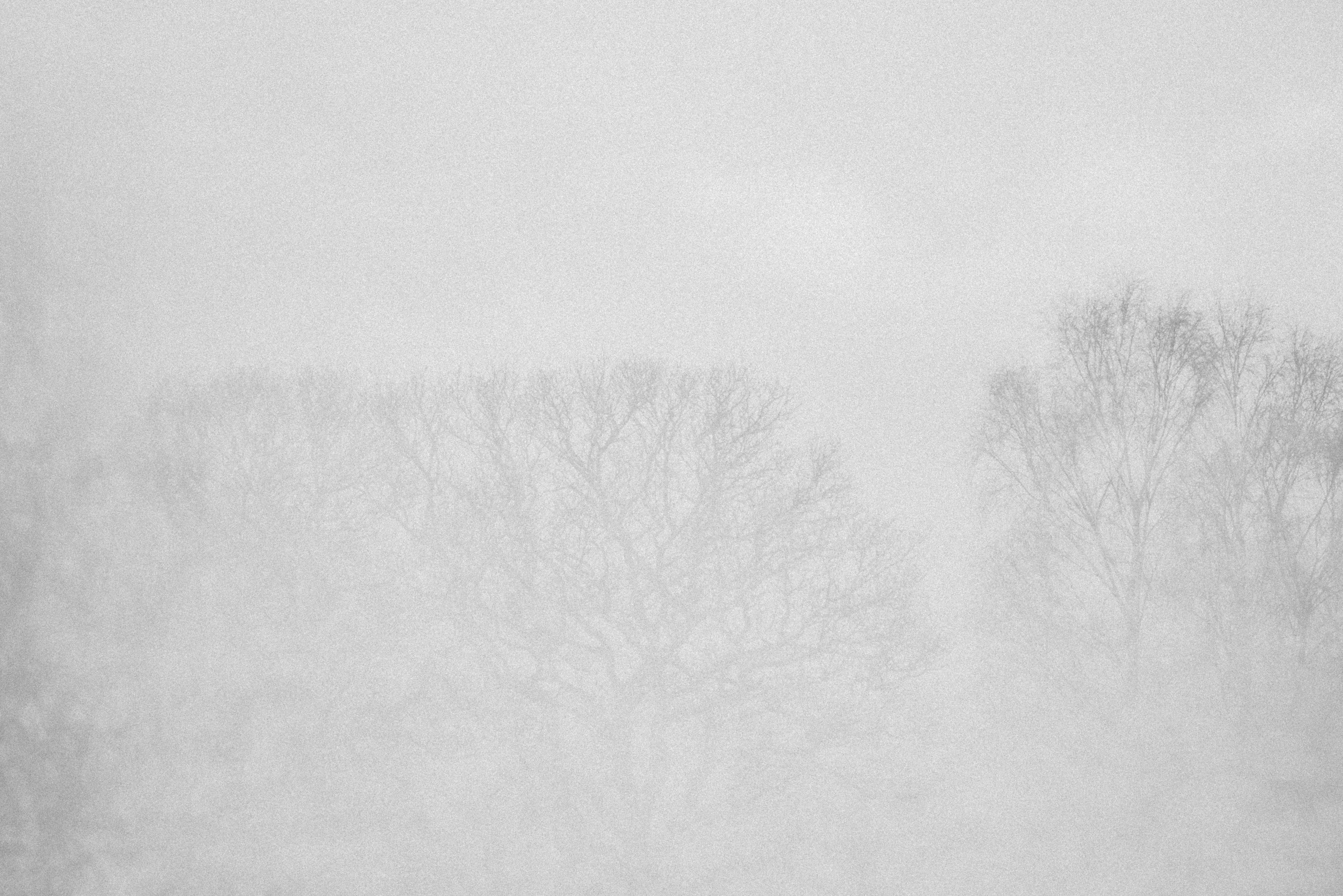 Photo by anniespratt