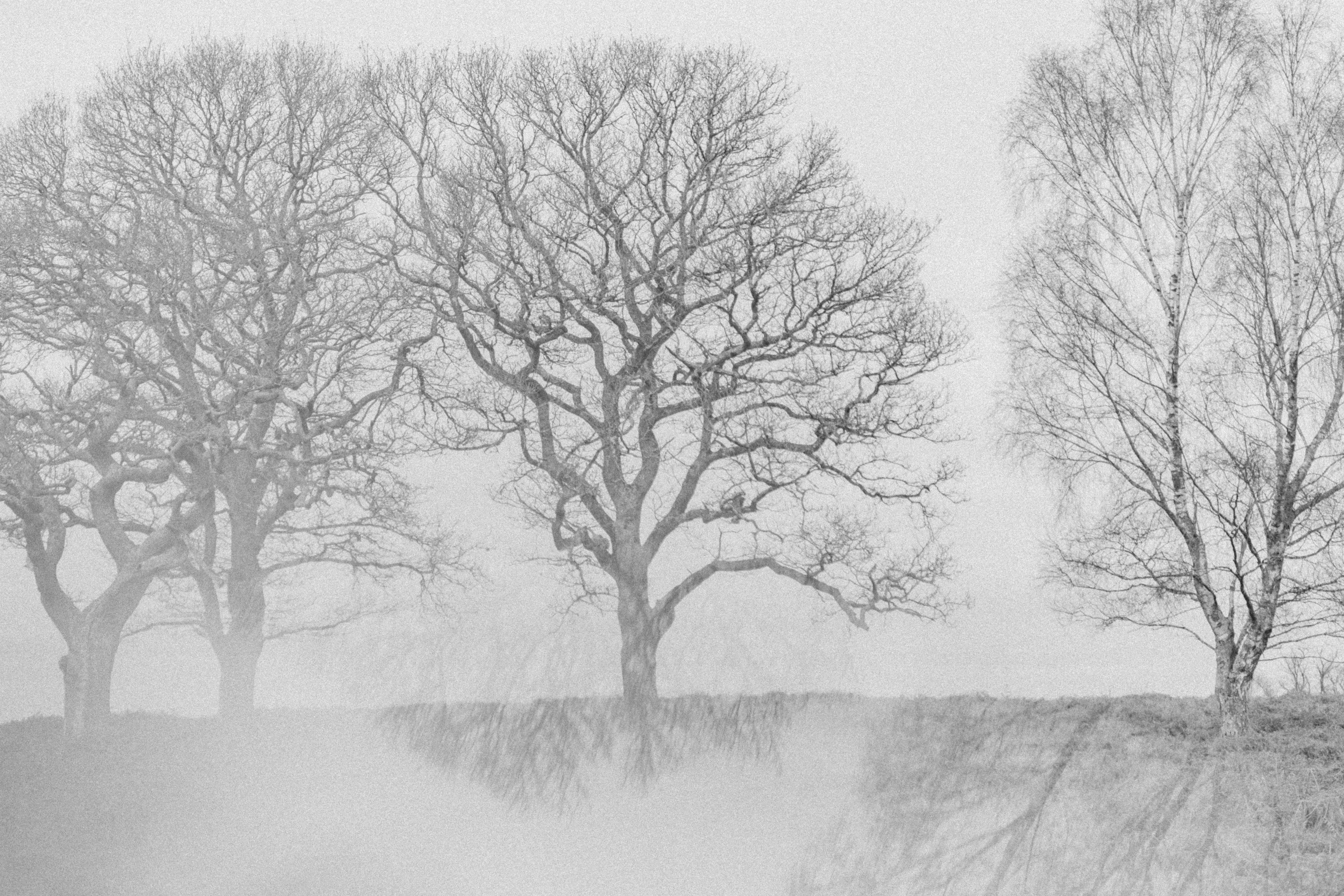 Photo by anniespratt