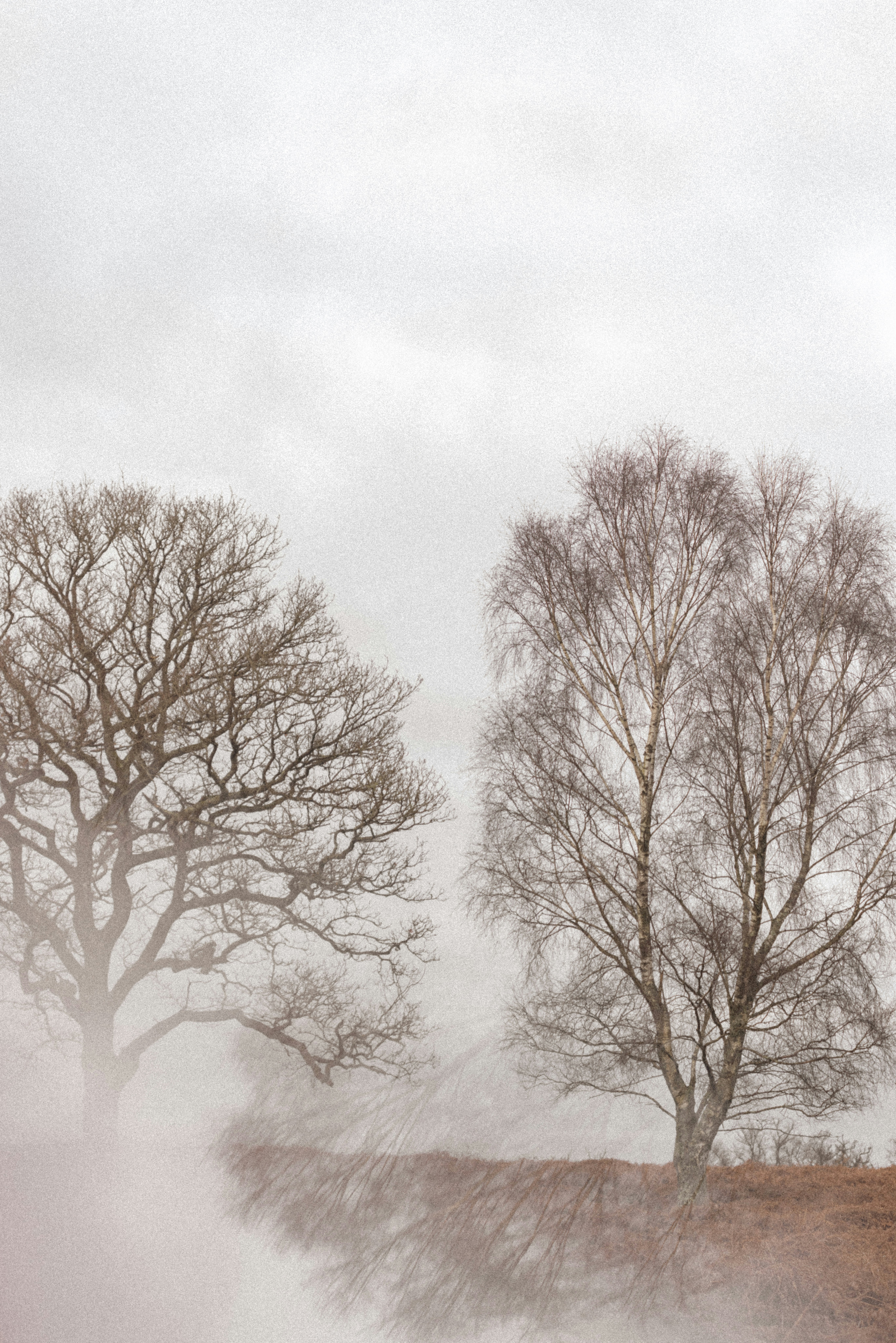 Photo by anniespratt