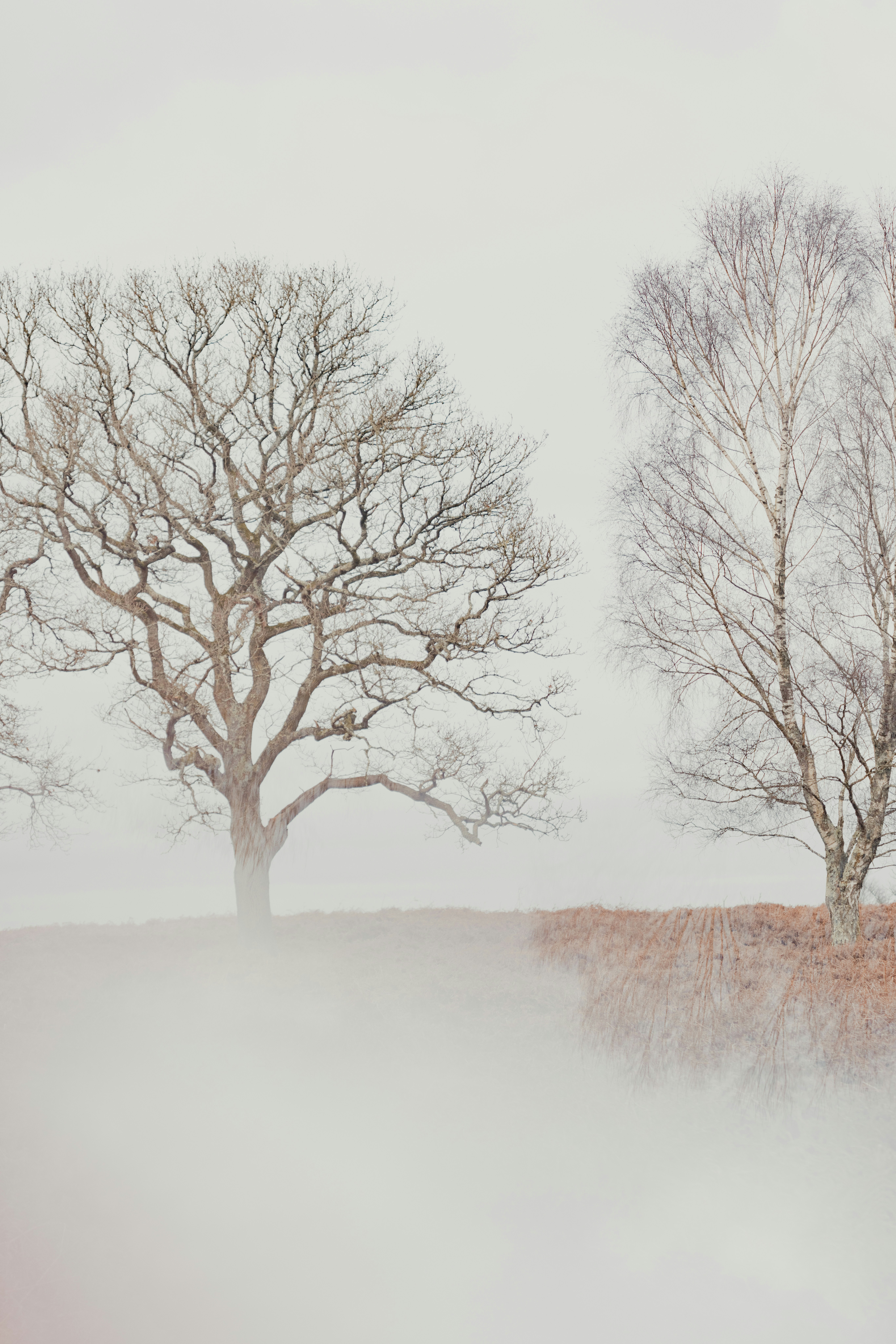 Photo by anniespratt