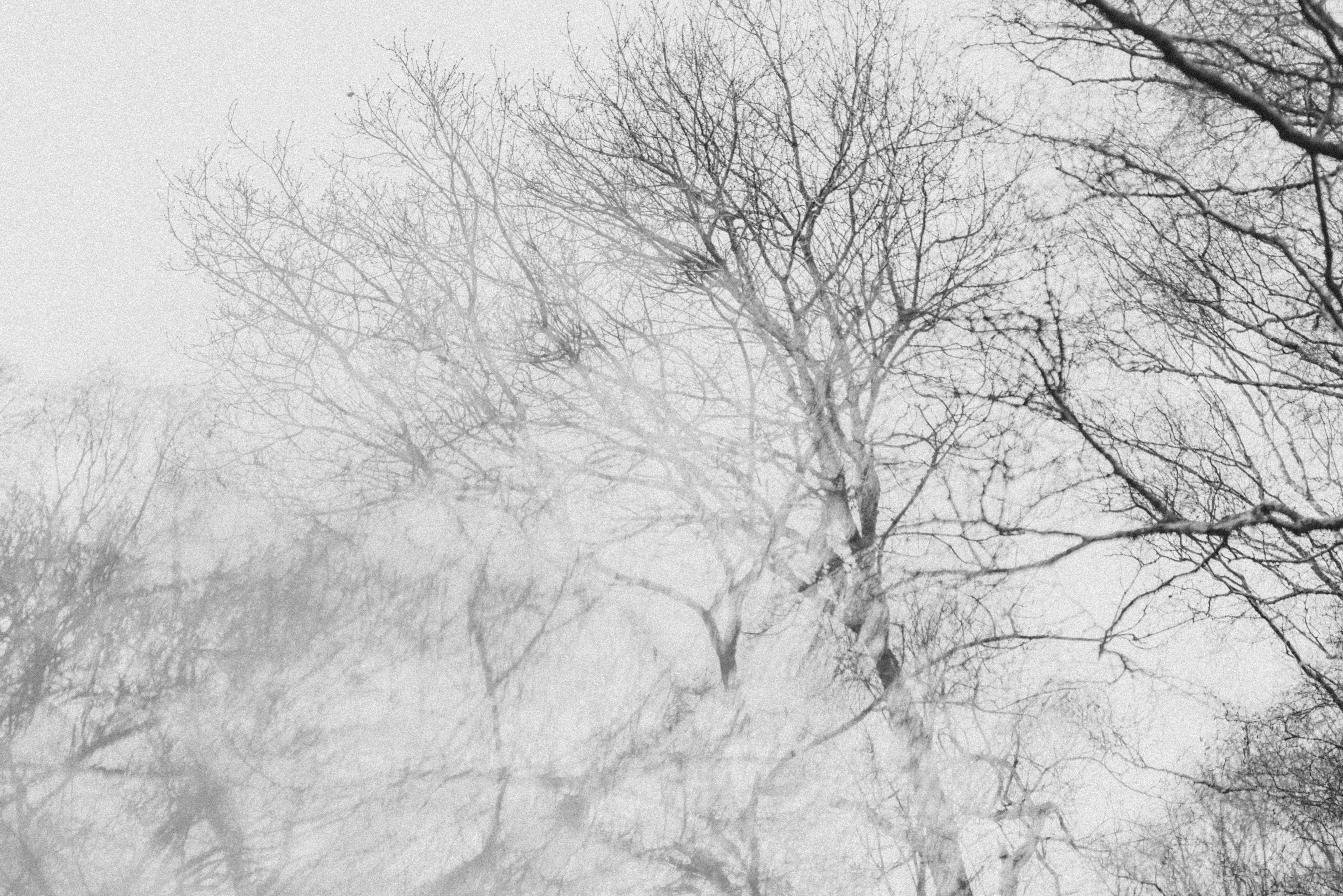 Photo by anniespratt