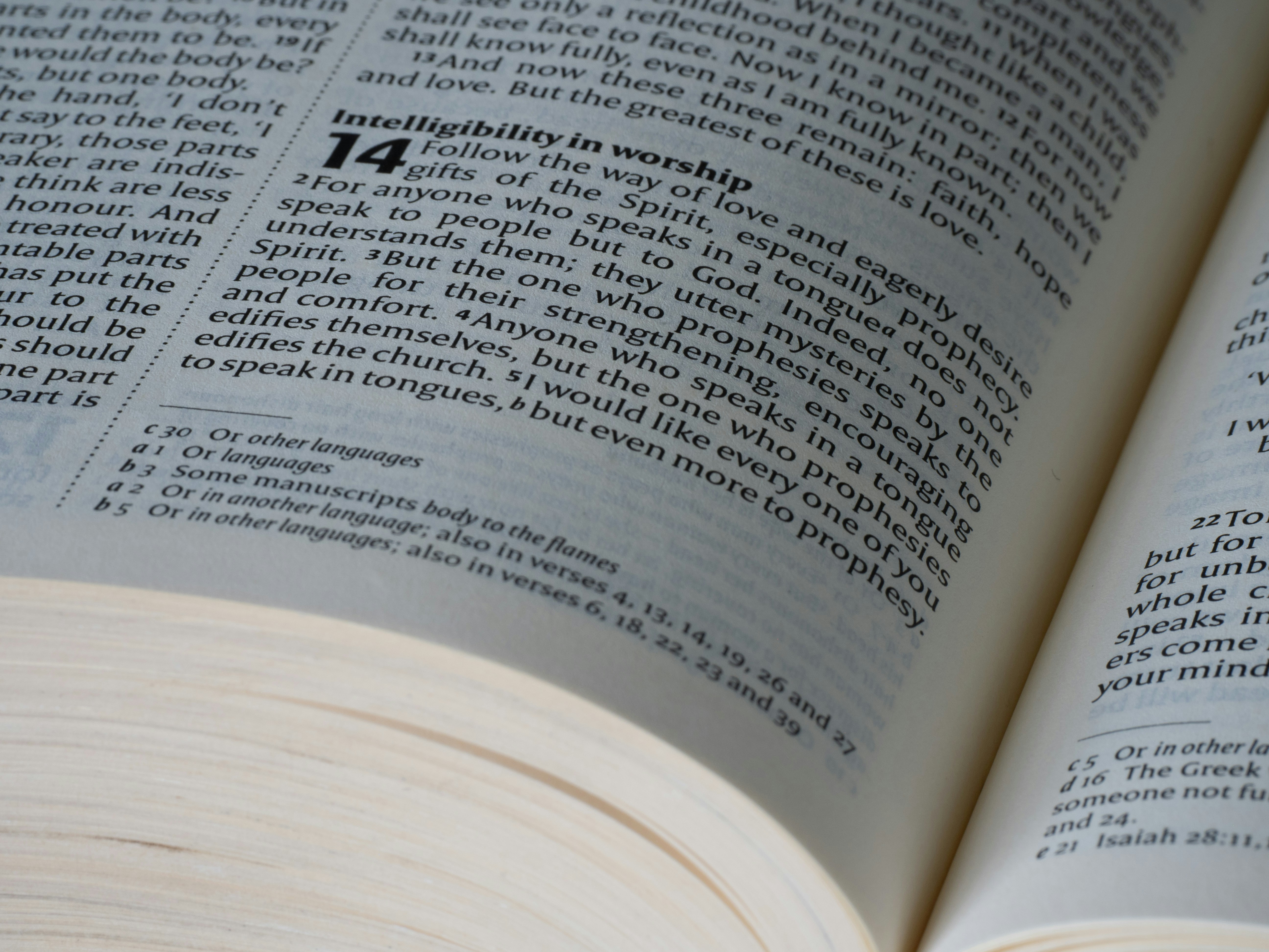 Photo by brett_jordan