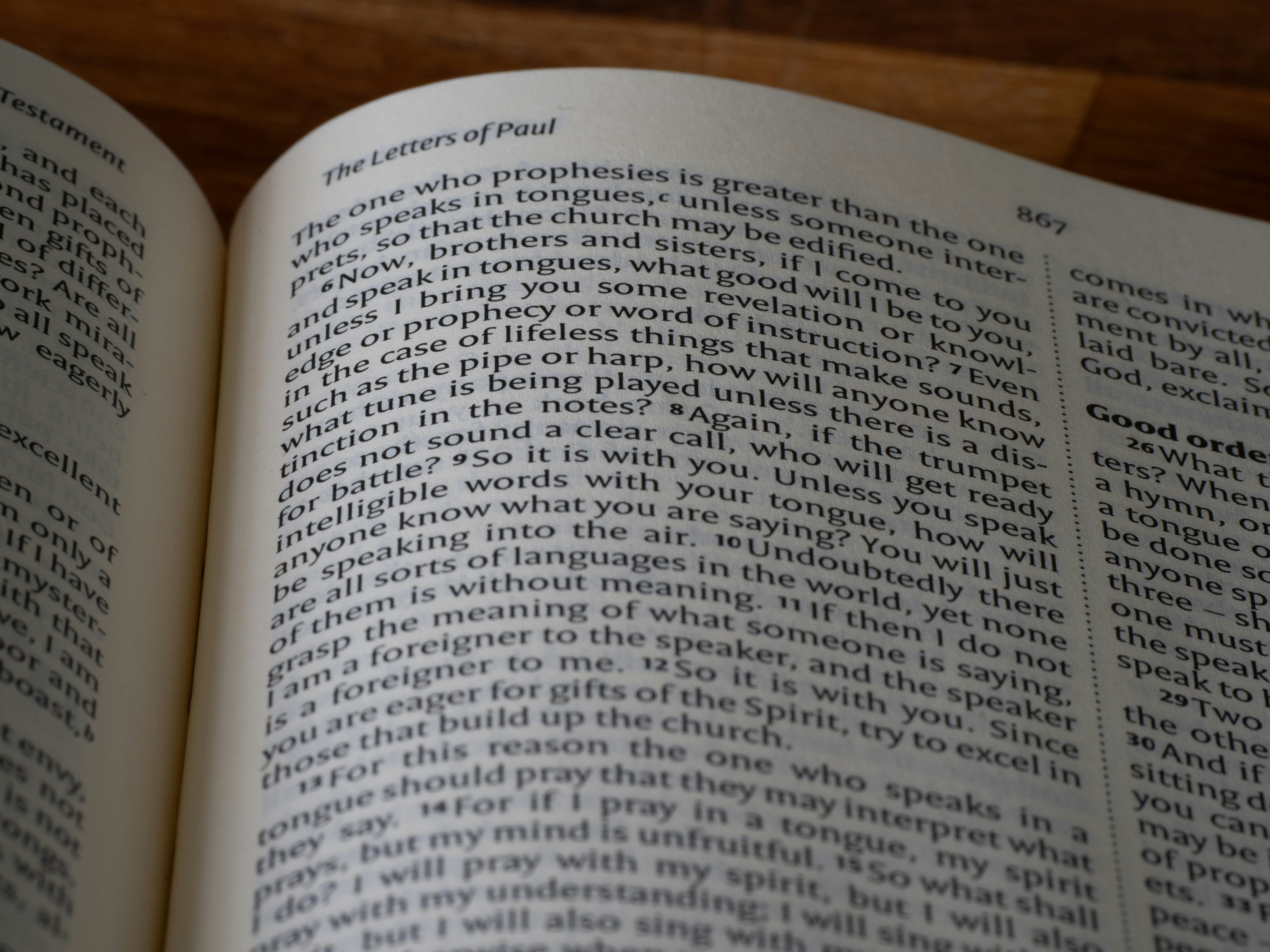 Photo by brett_jordan