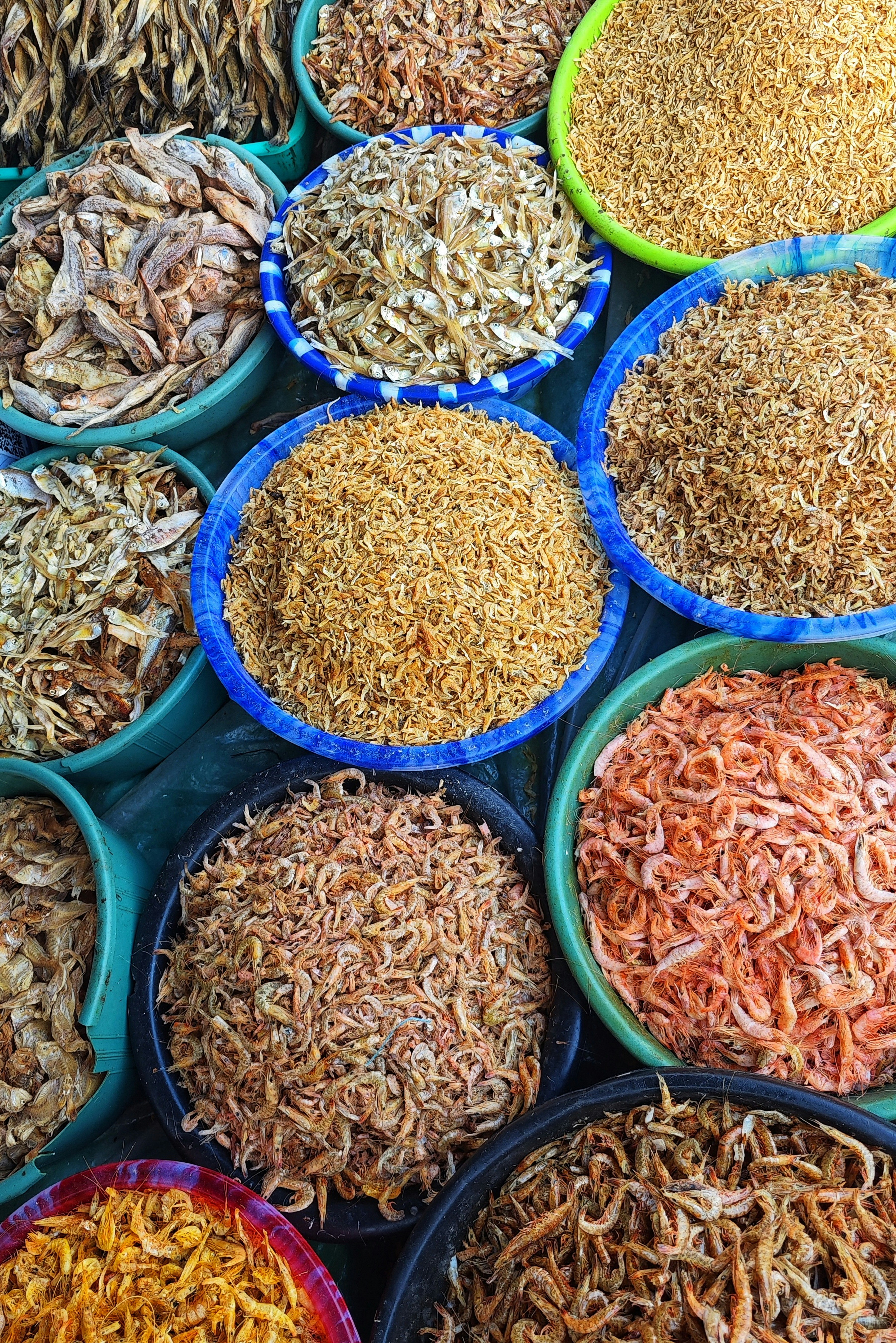 Photo by dibakar16roy