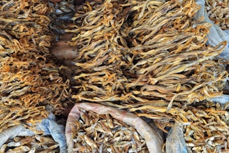 A pile of dried corn sitting on top of a pile of bags