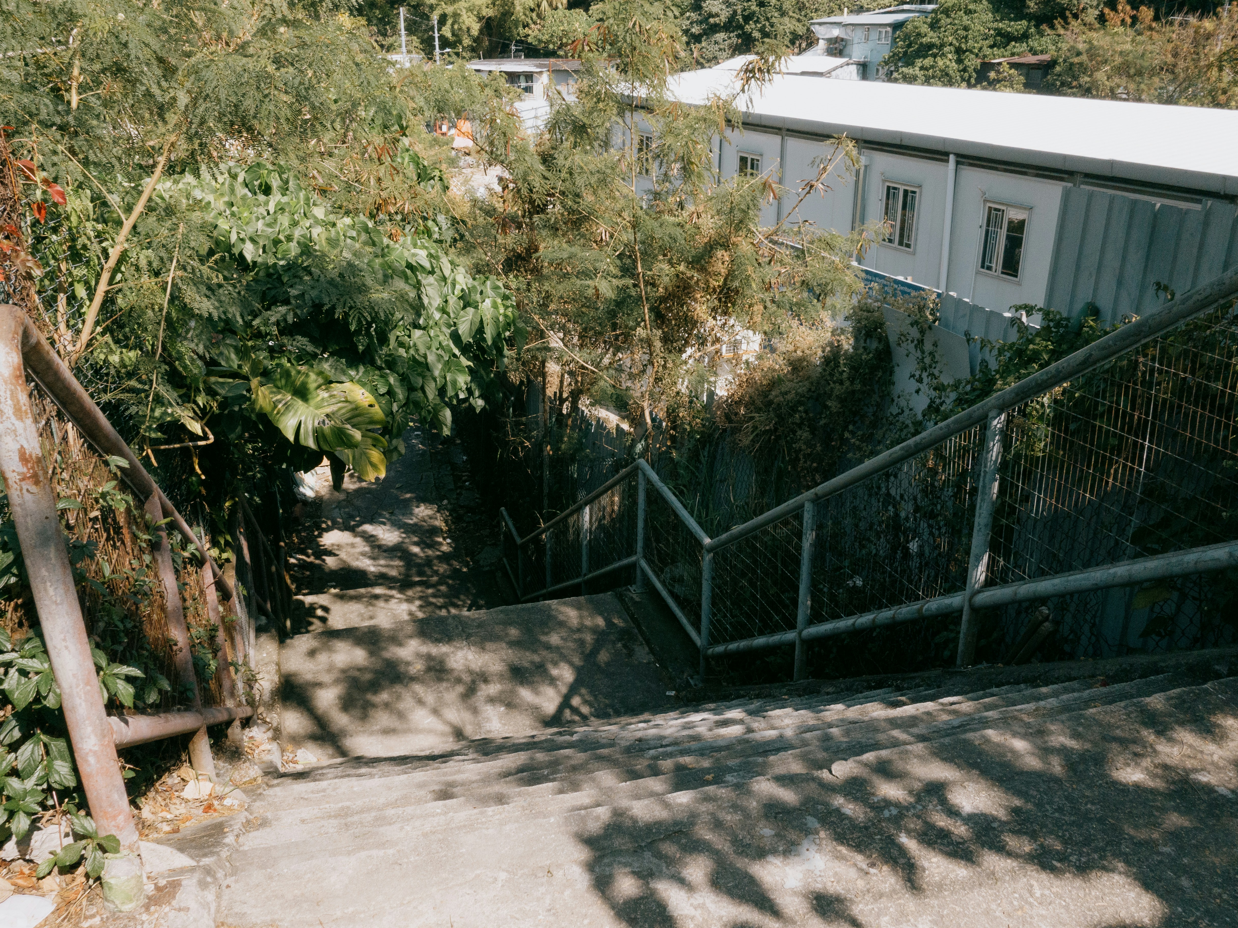 Photo by catgirlmutant