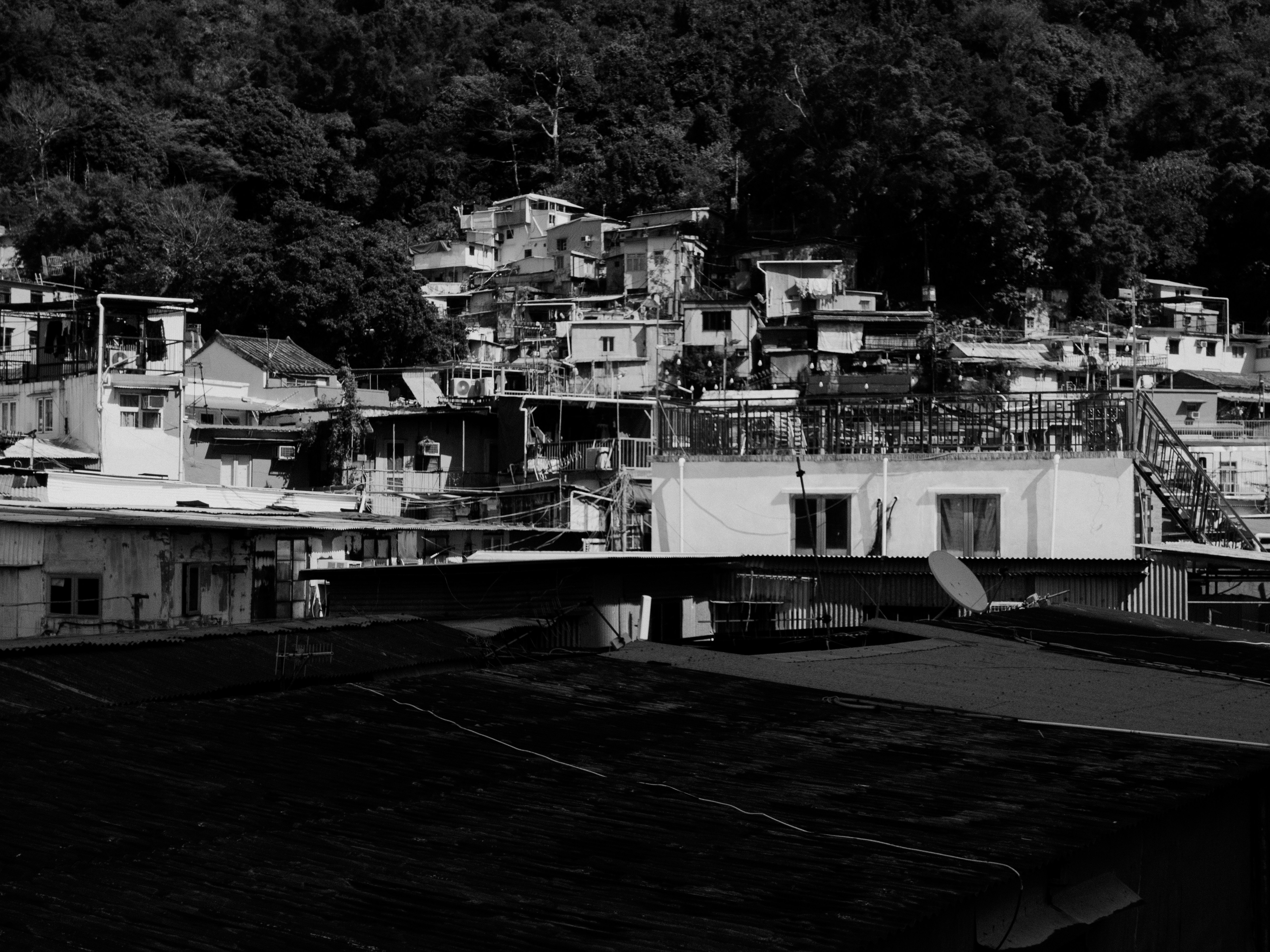 Photo by catgirlmutant