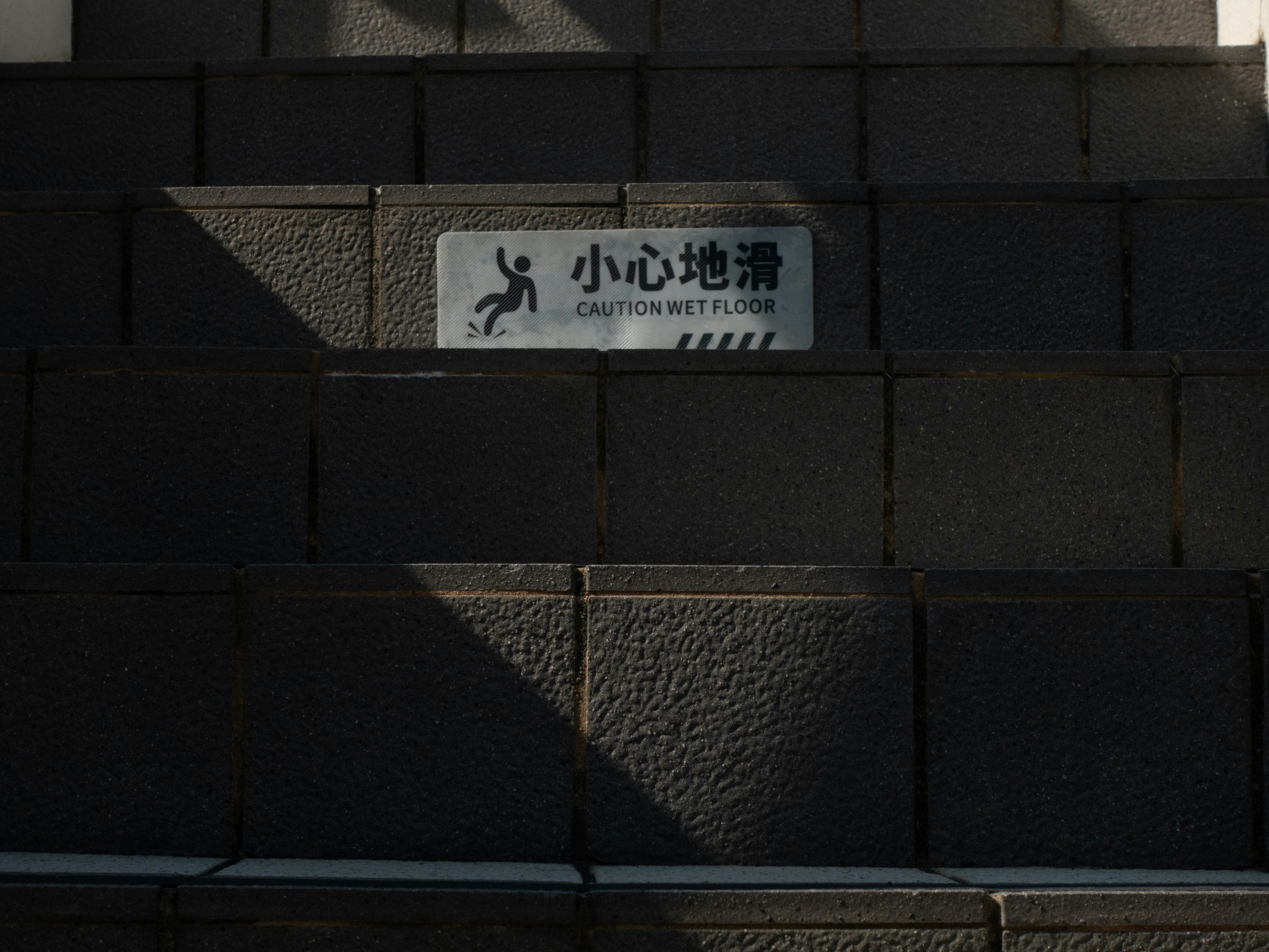 Photo by catgirlmutant