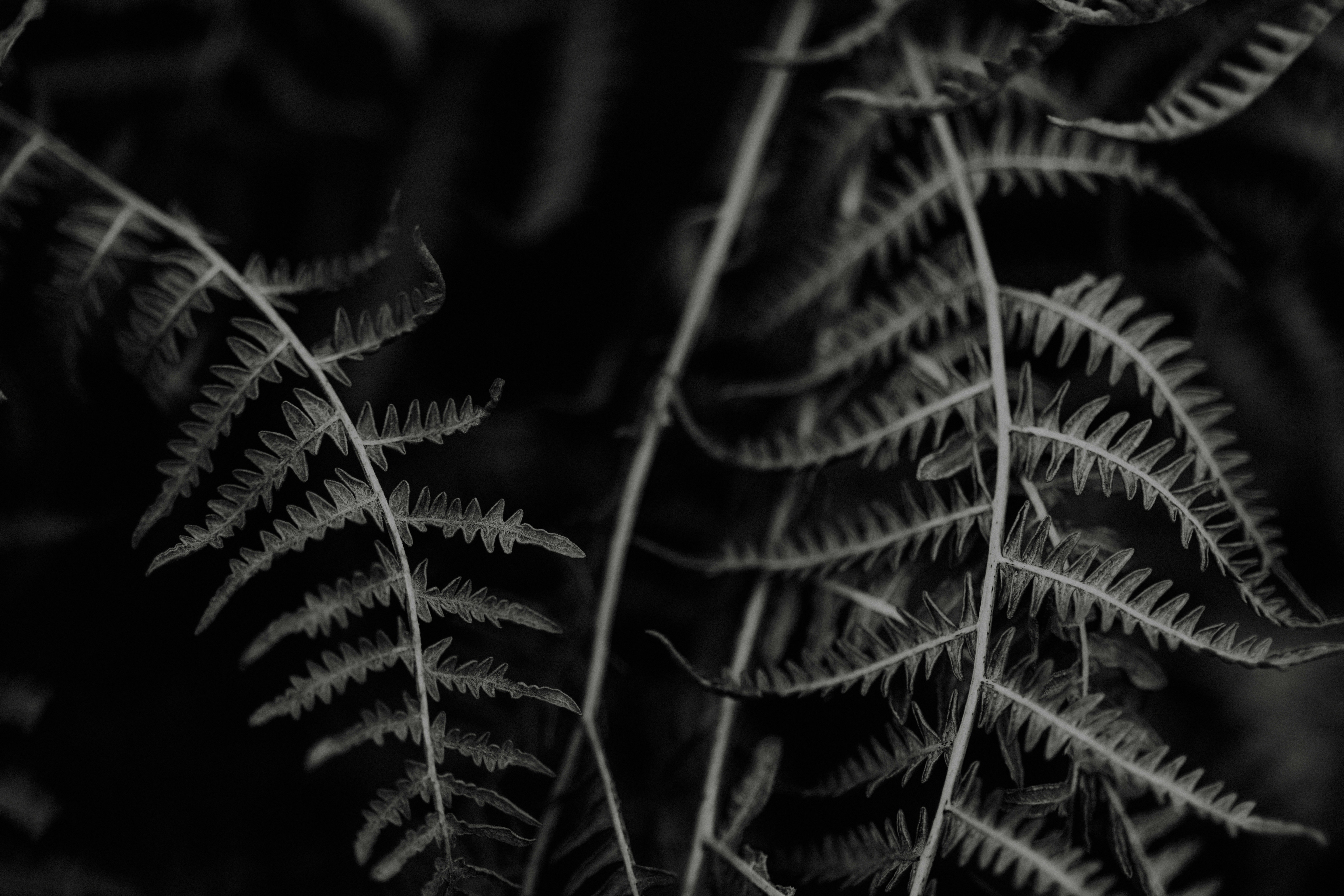 Photo by anniespratt