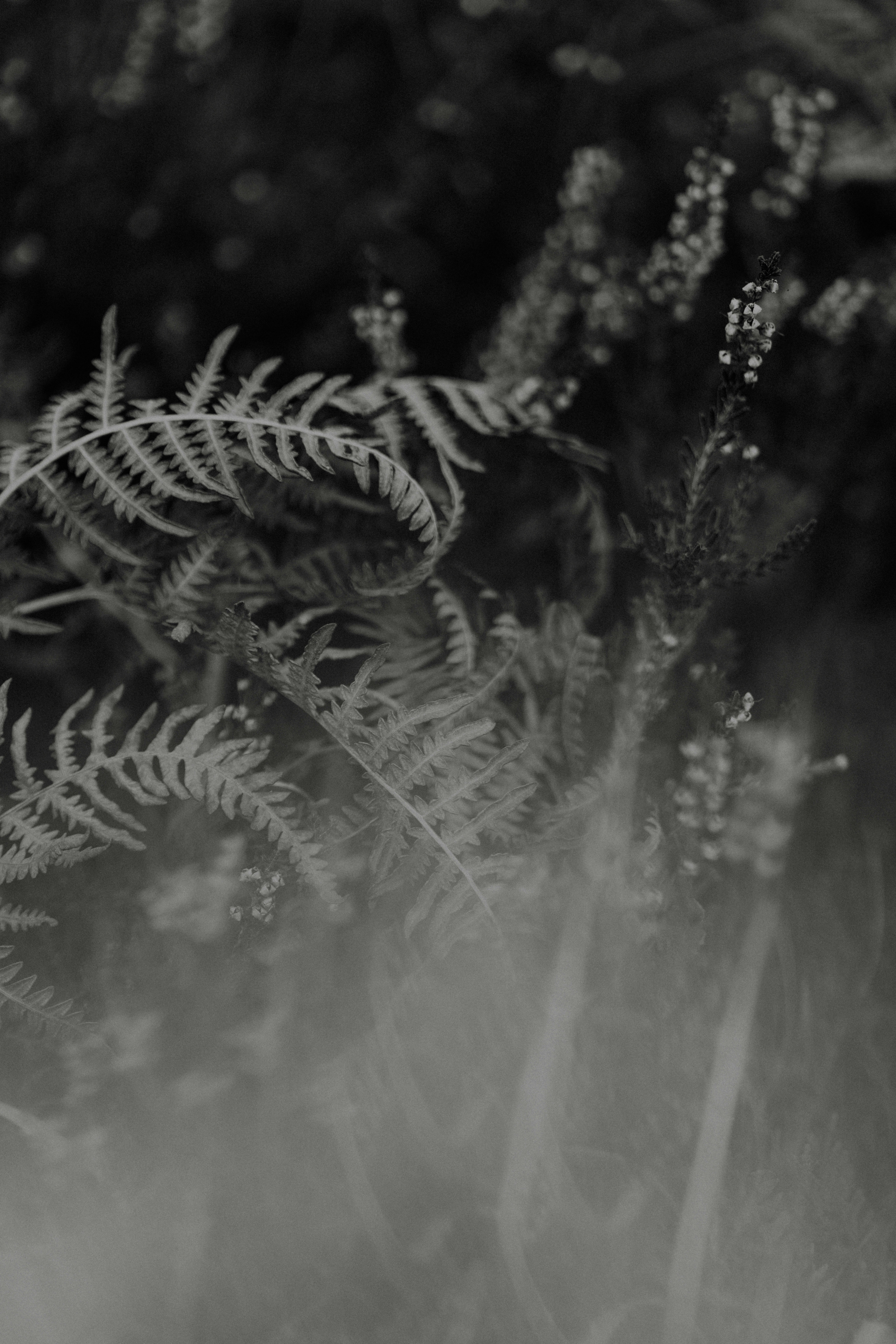 Photo by anniespratt