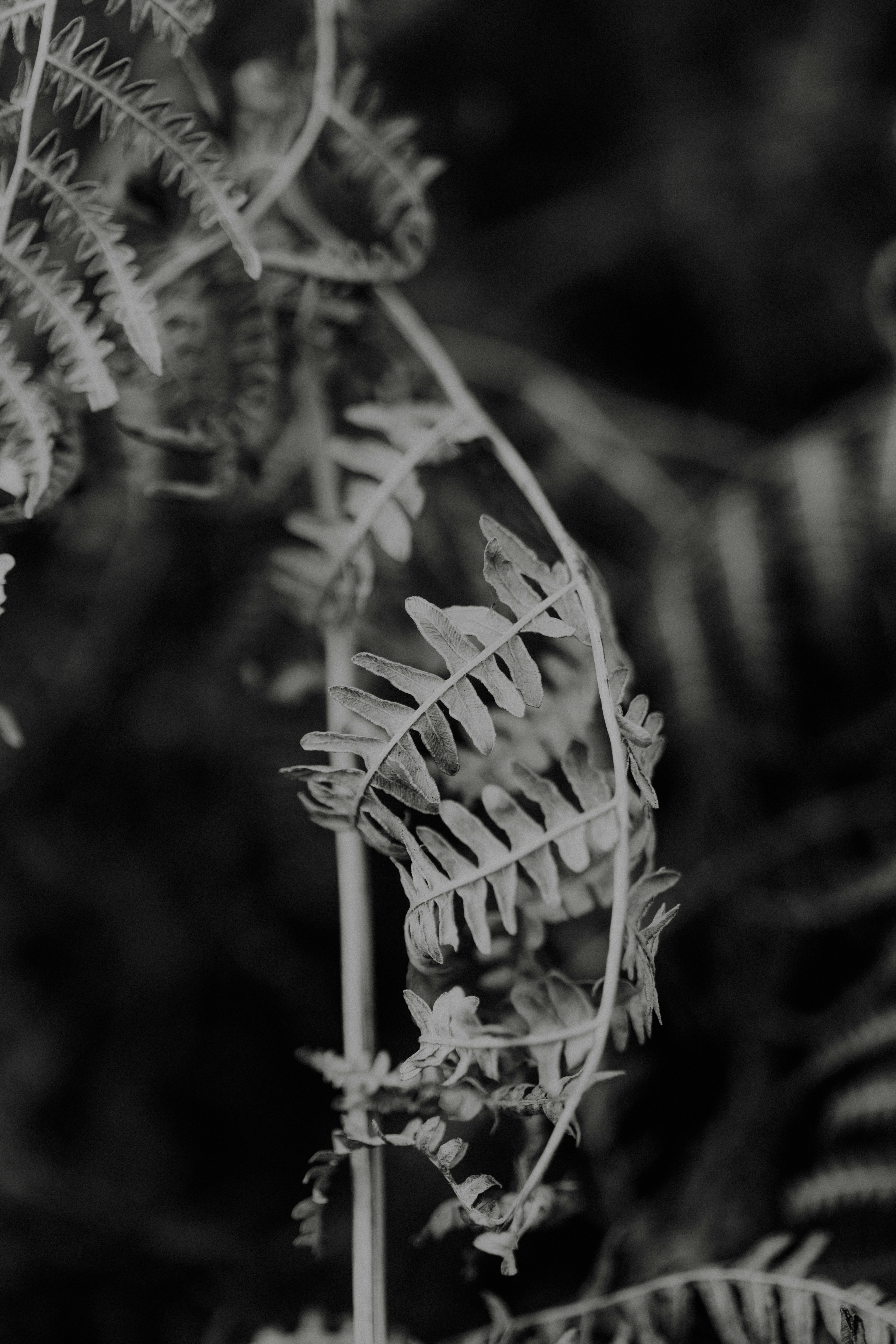 Photo by anniespratt