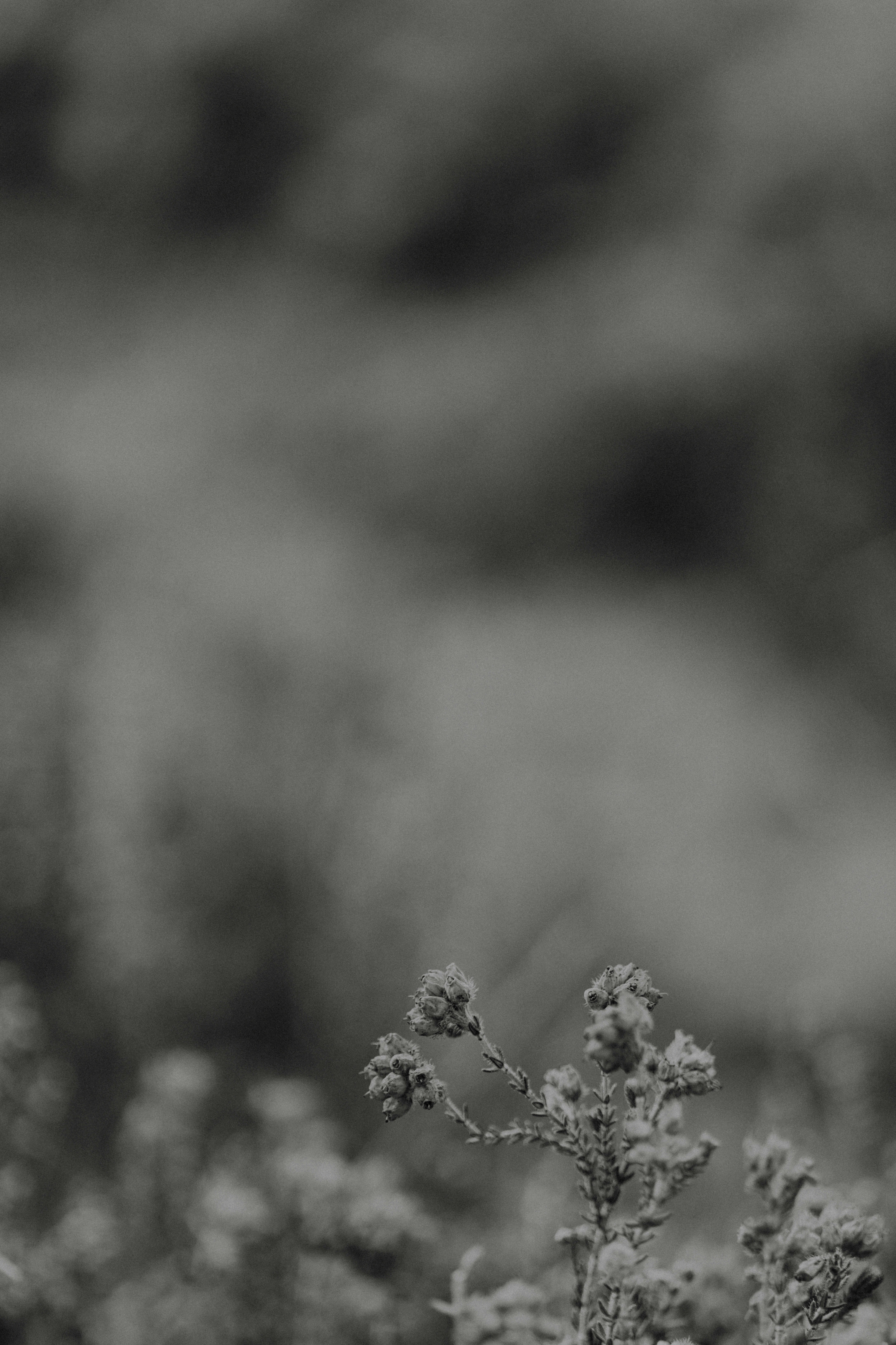 Photo by anniespratt