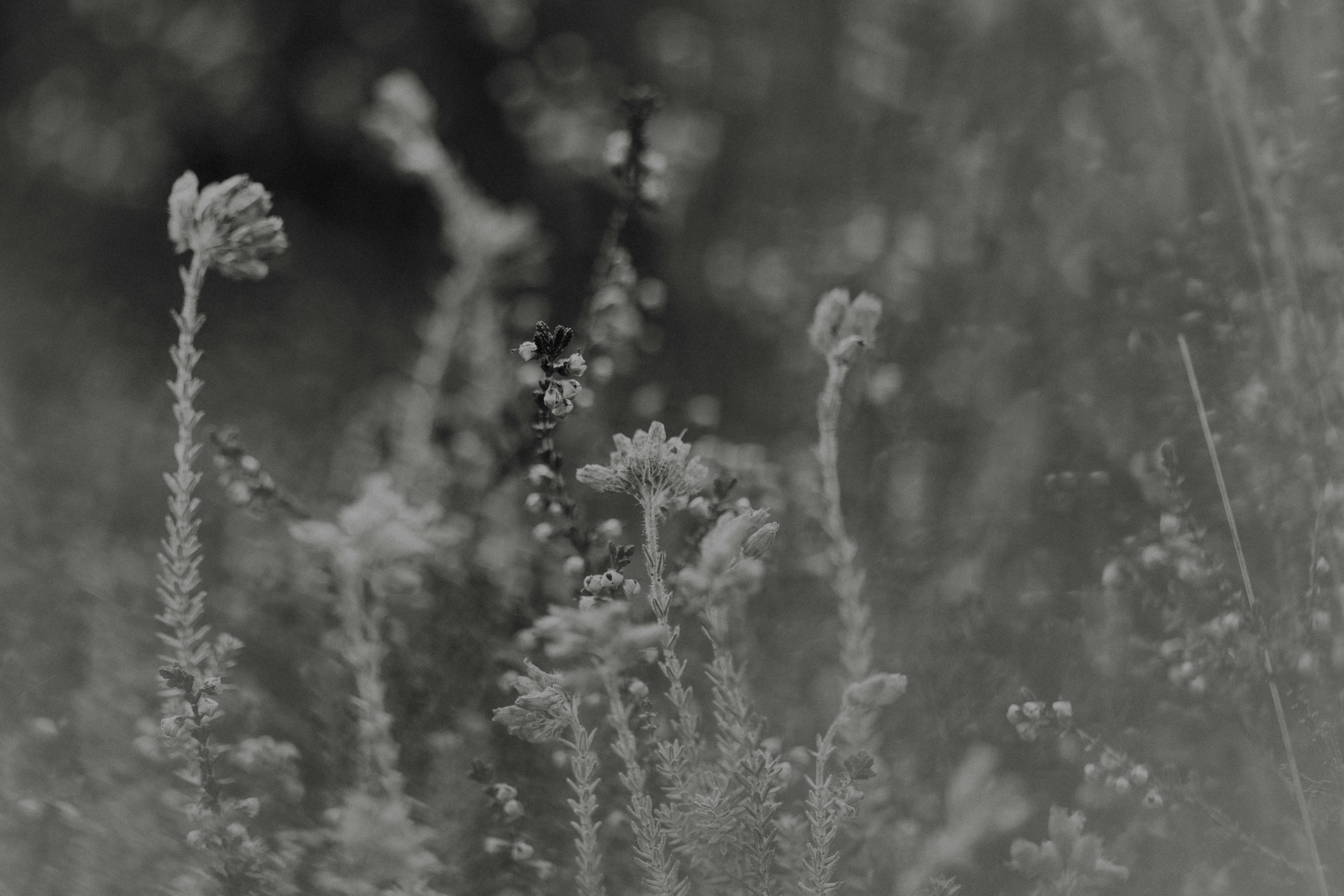 Photo by anniespratt