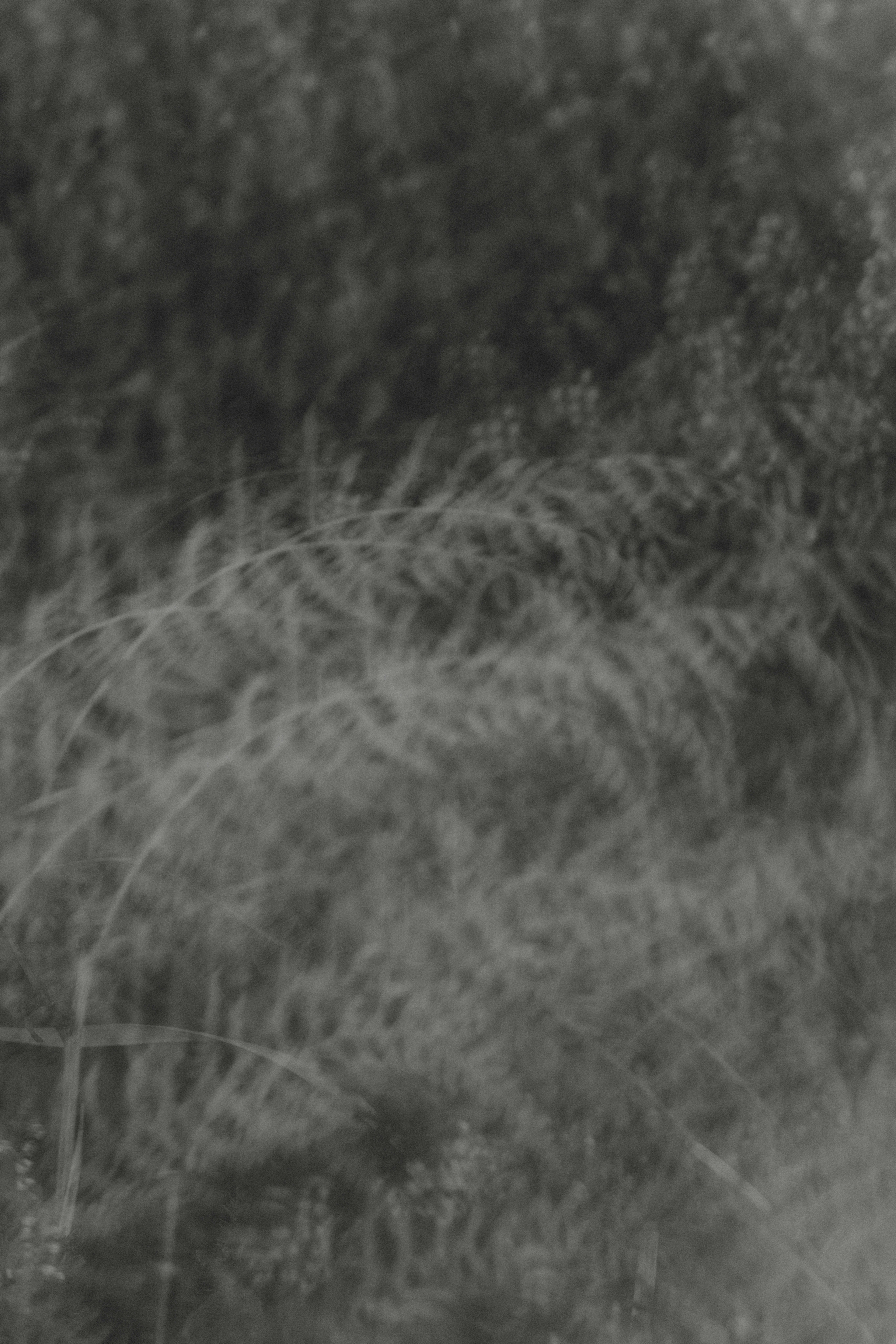 Photo by anniespratt