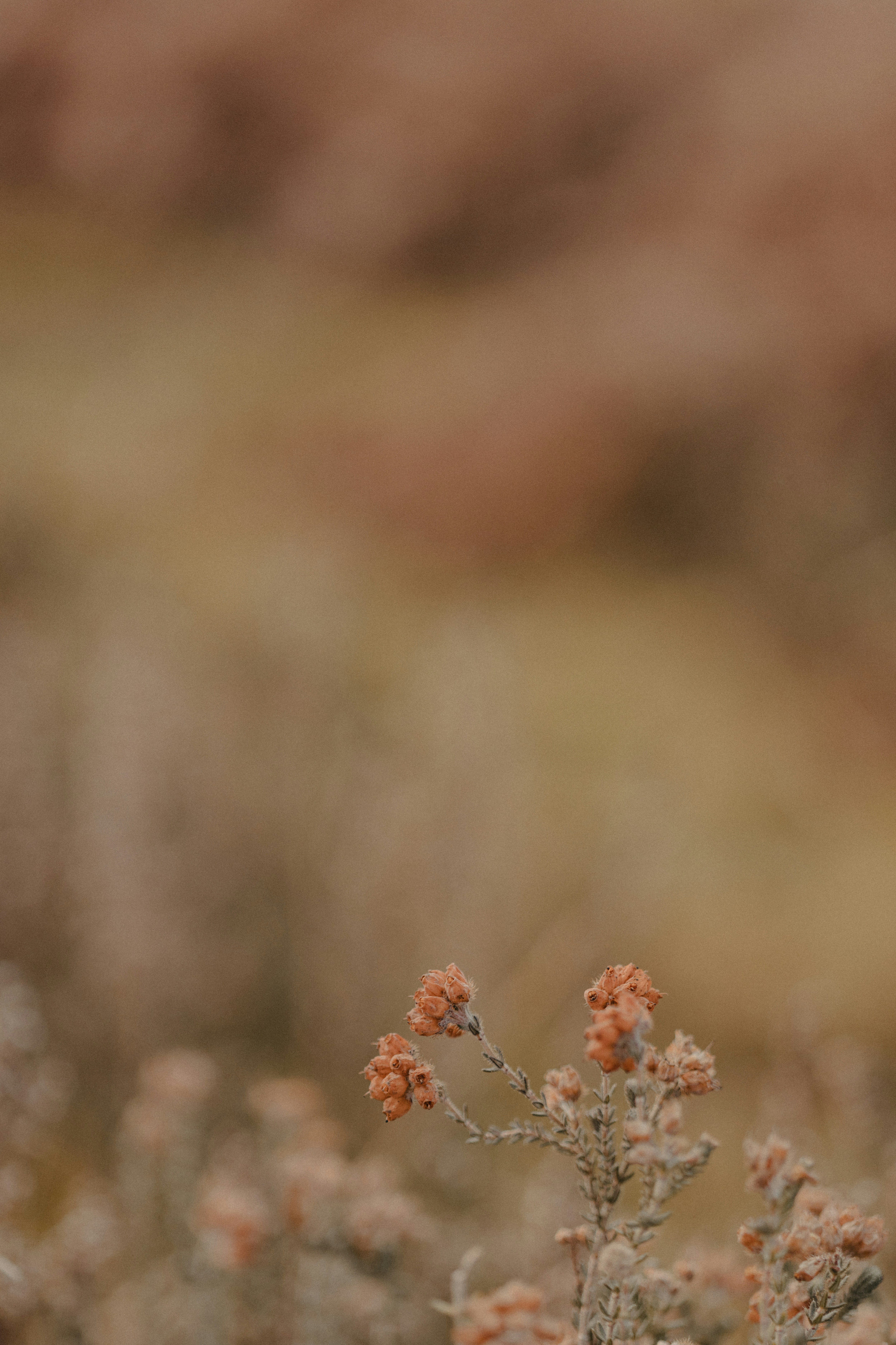 Photo by anniespratt