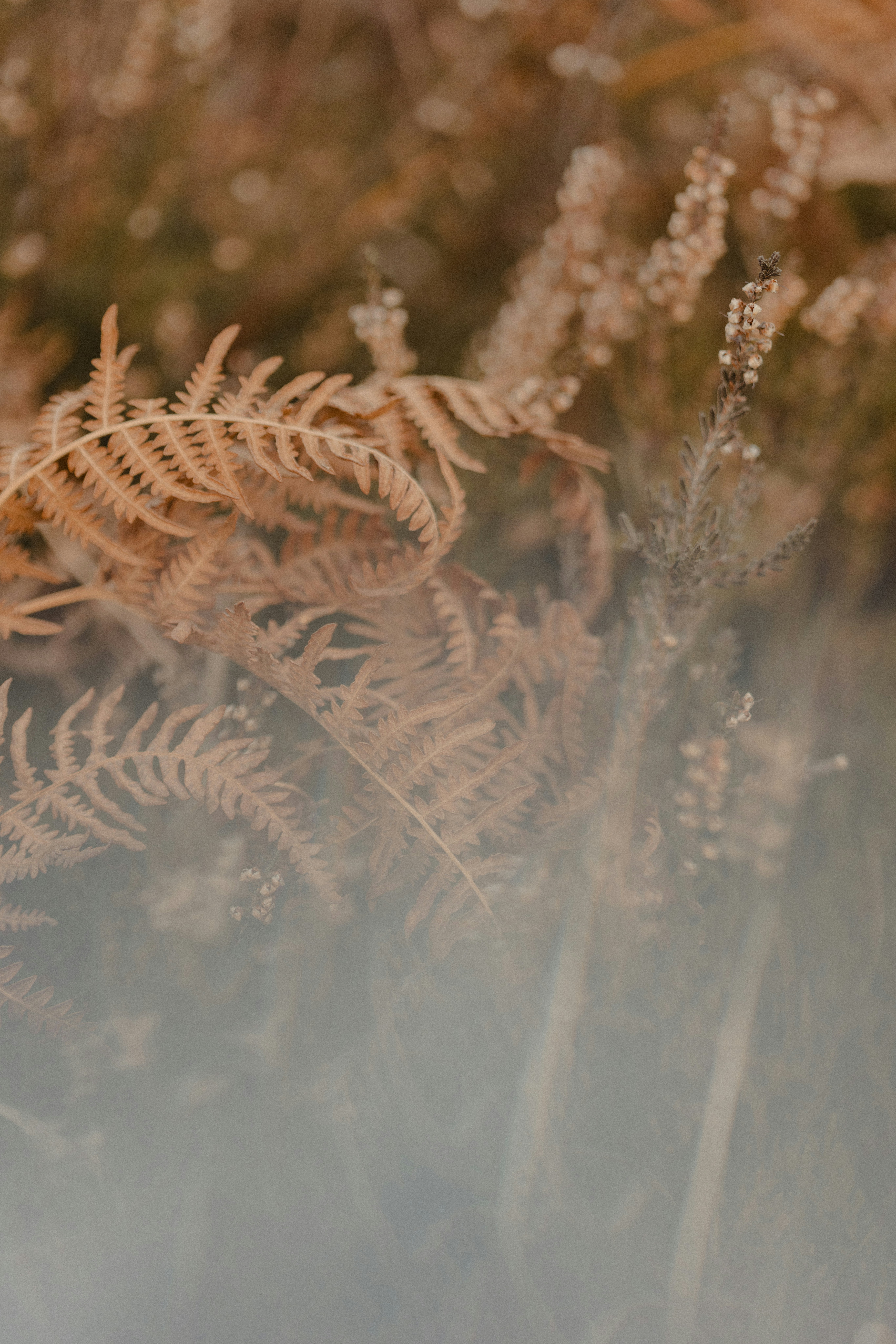 Photo by anniespratt