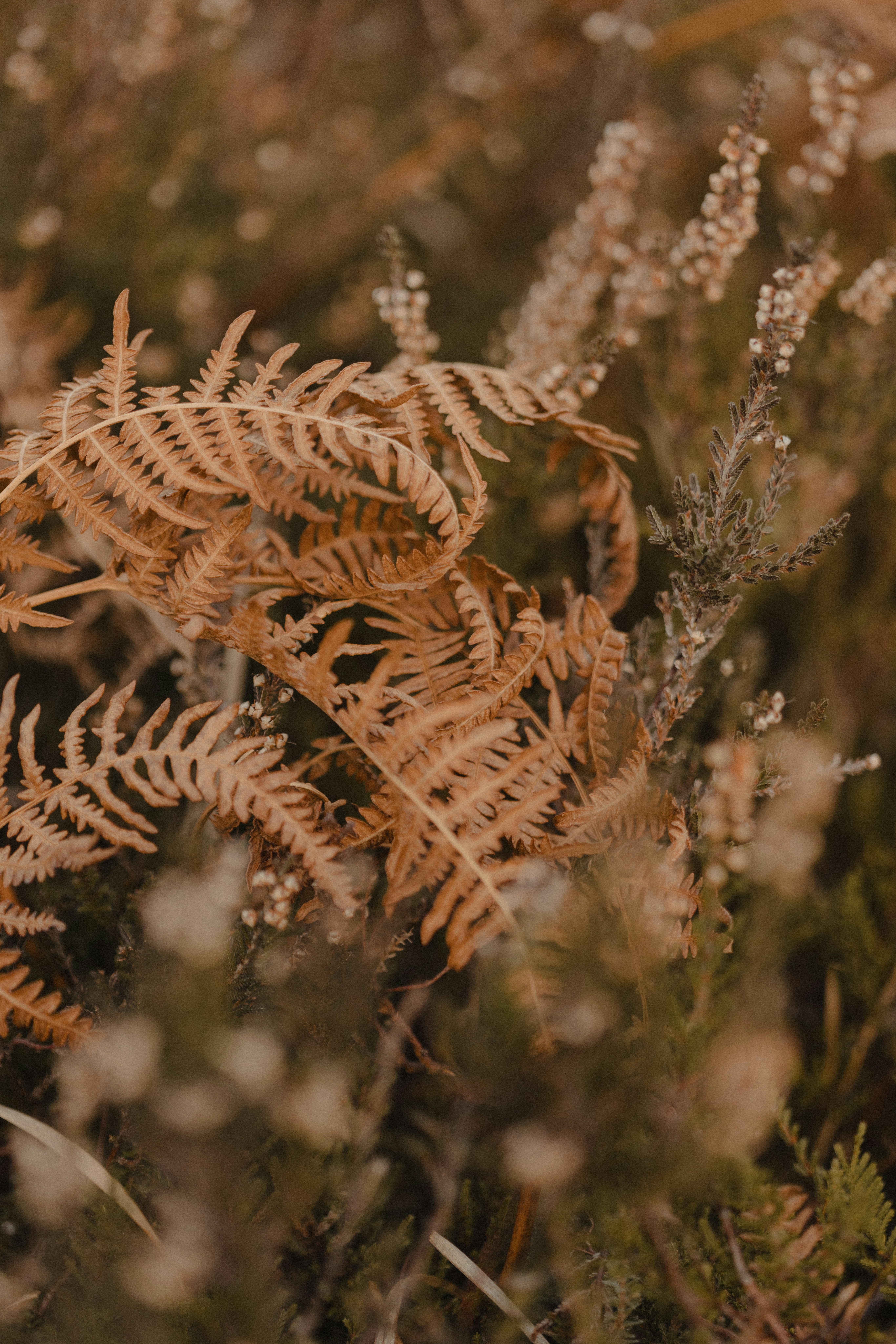 Photo by anniespratt