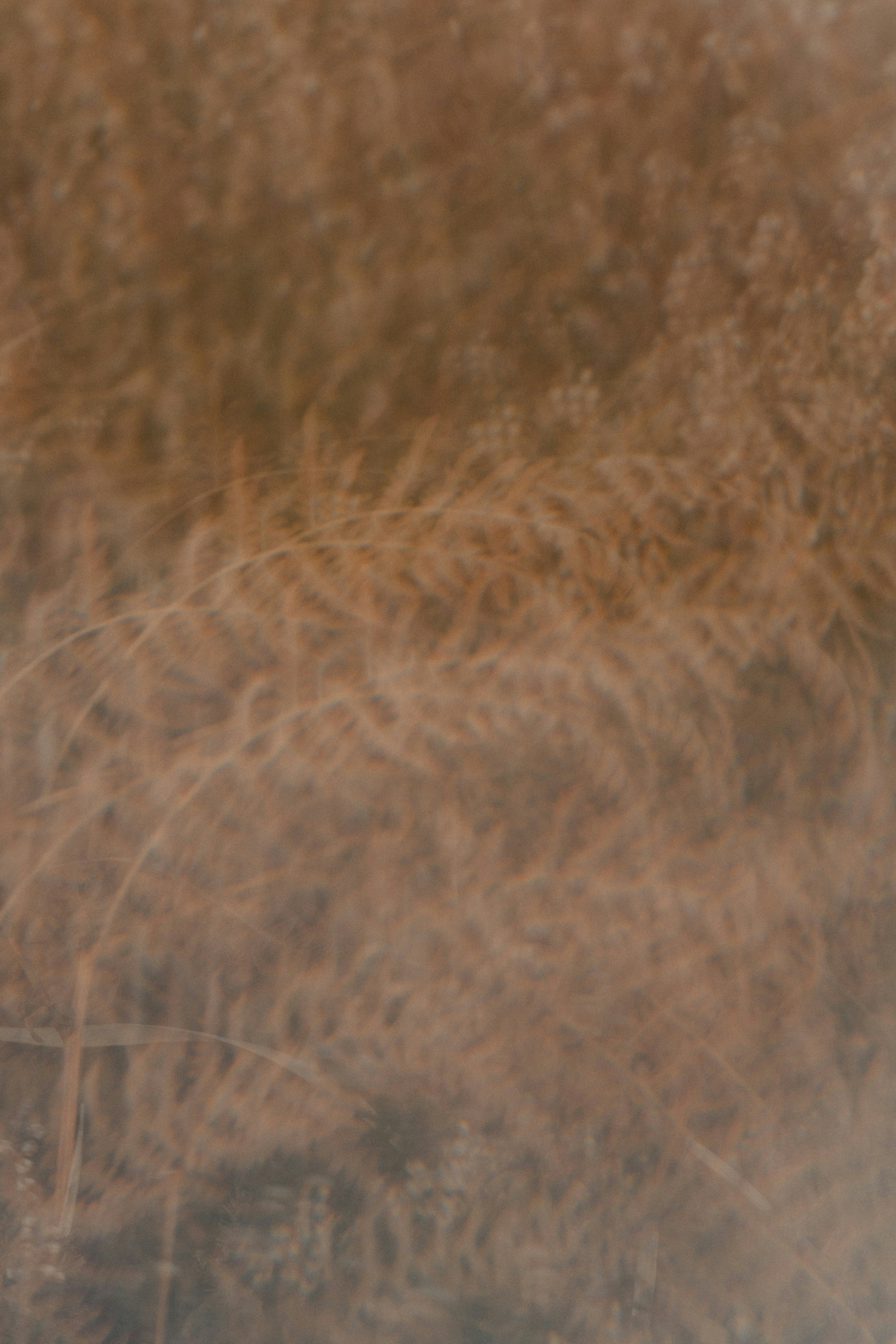 Photo by anniespratt