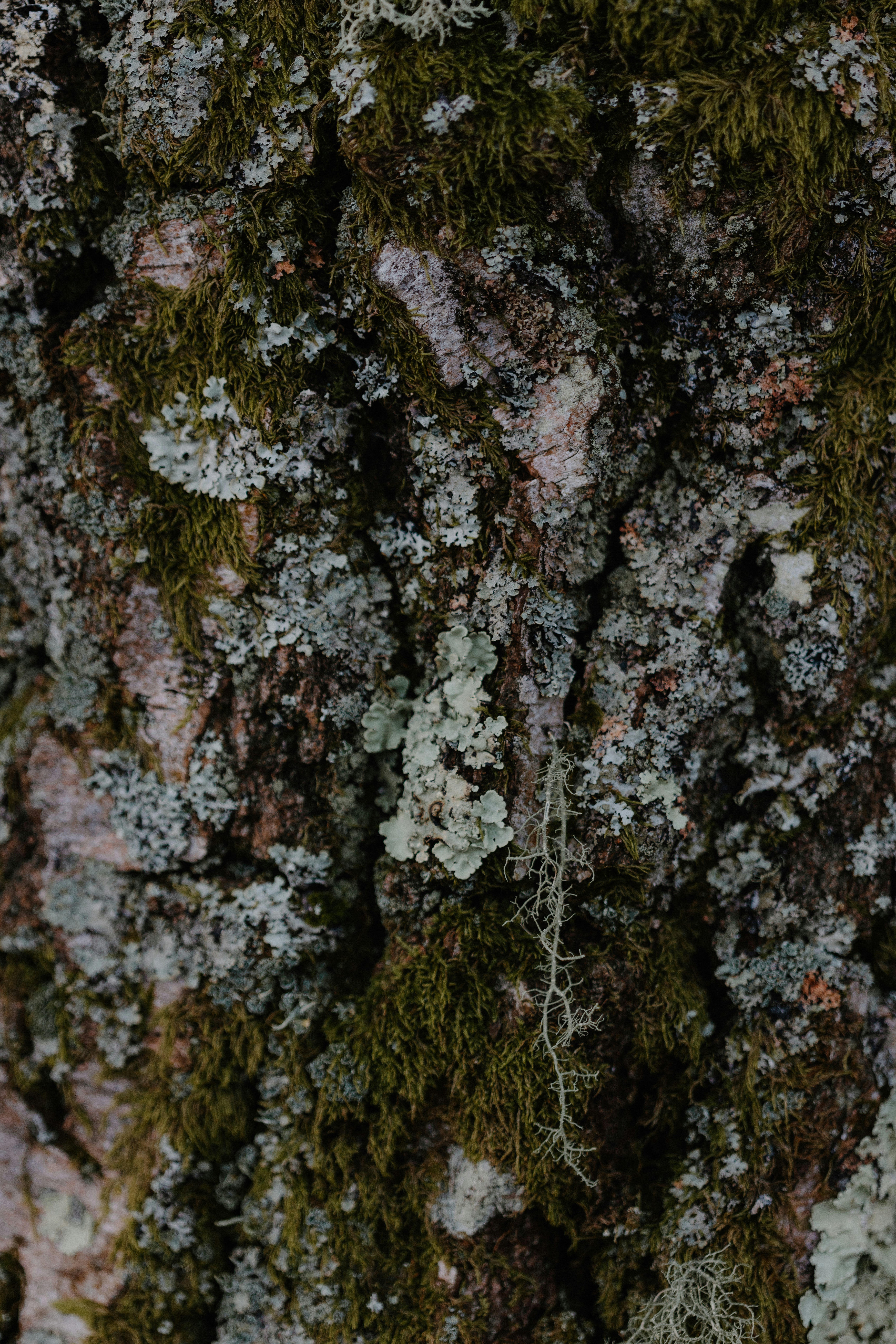 Photo by anniespratt