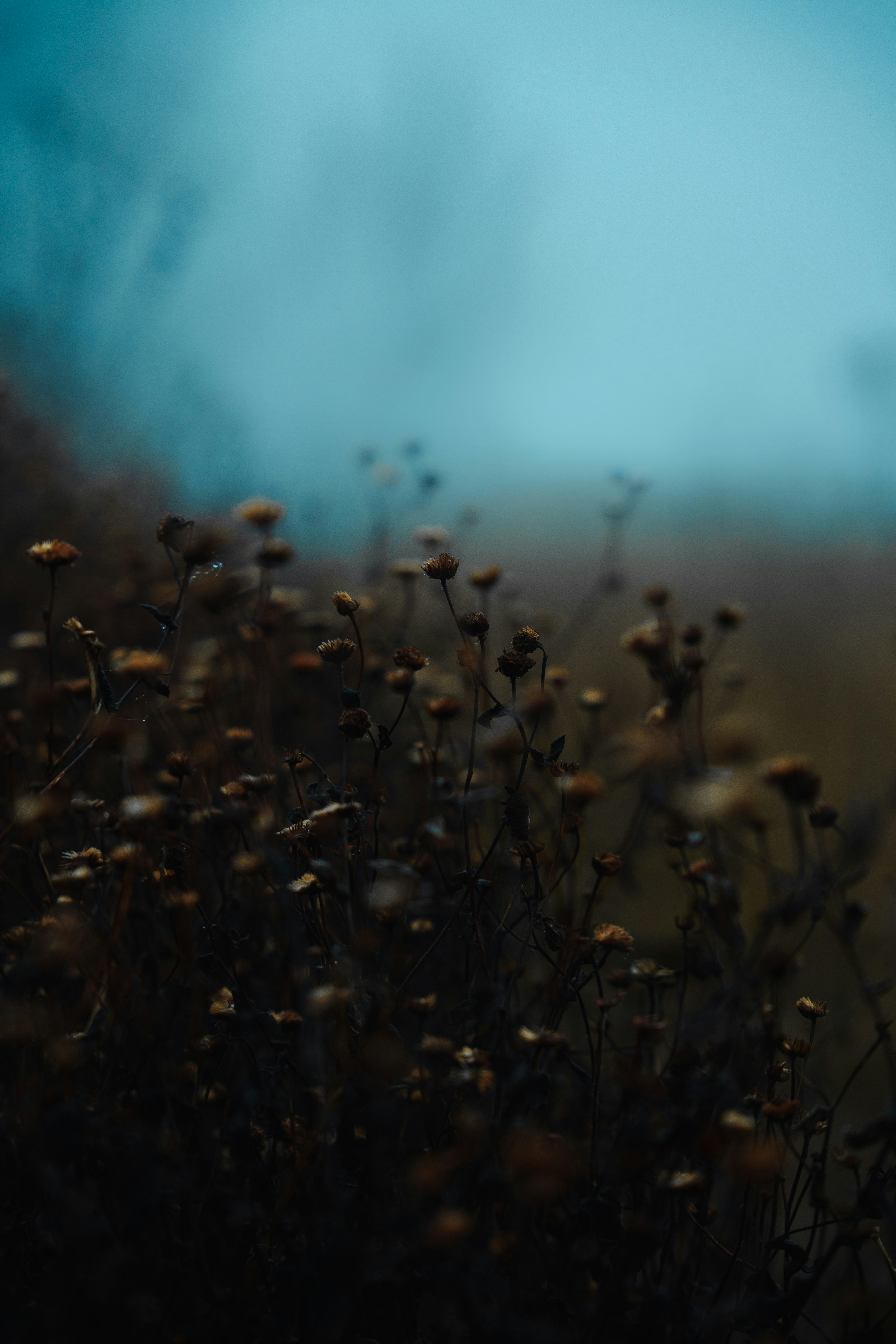 Photo by alexisnthere_