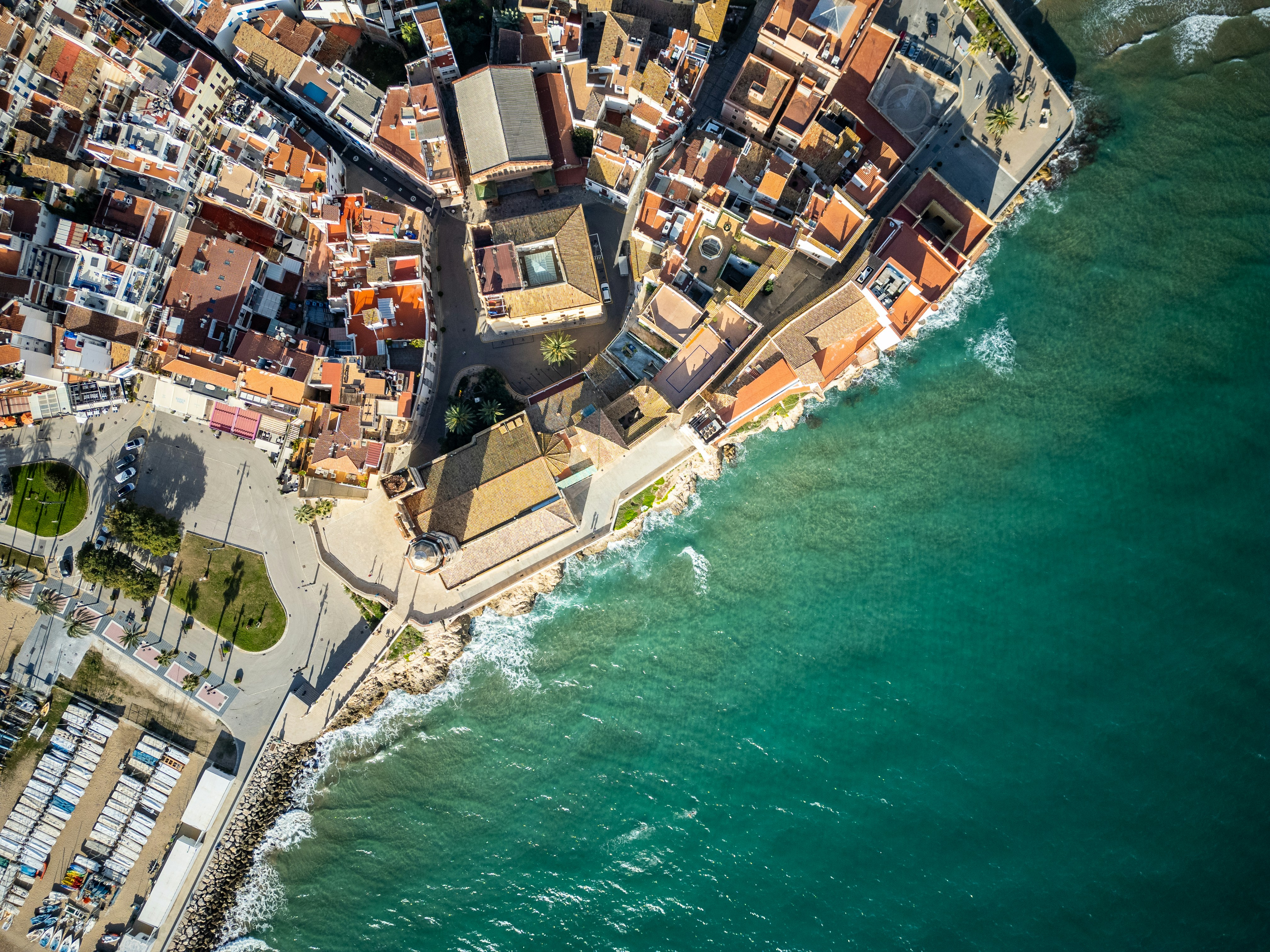 개나리 vs 진달래, 두 봄꽃의 차이점과 특징