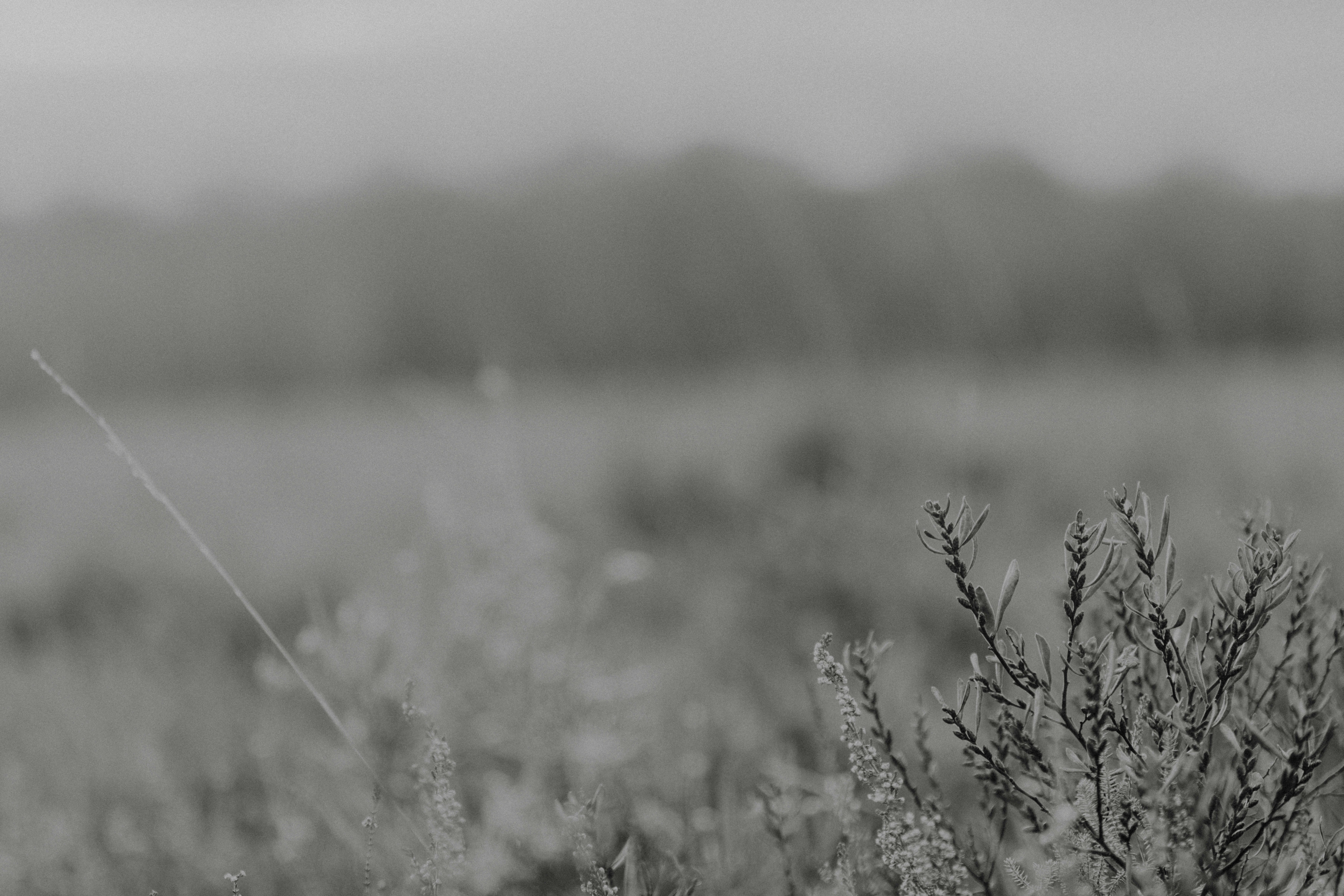 Photo by anniespratt