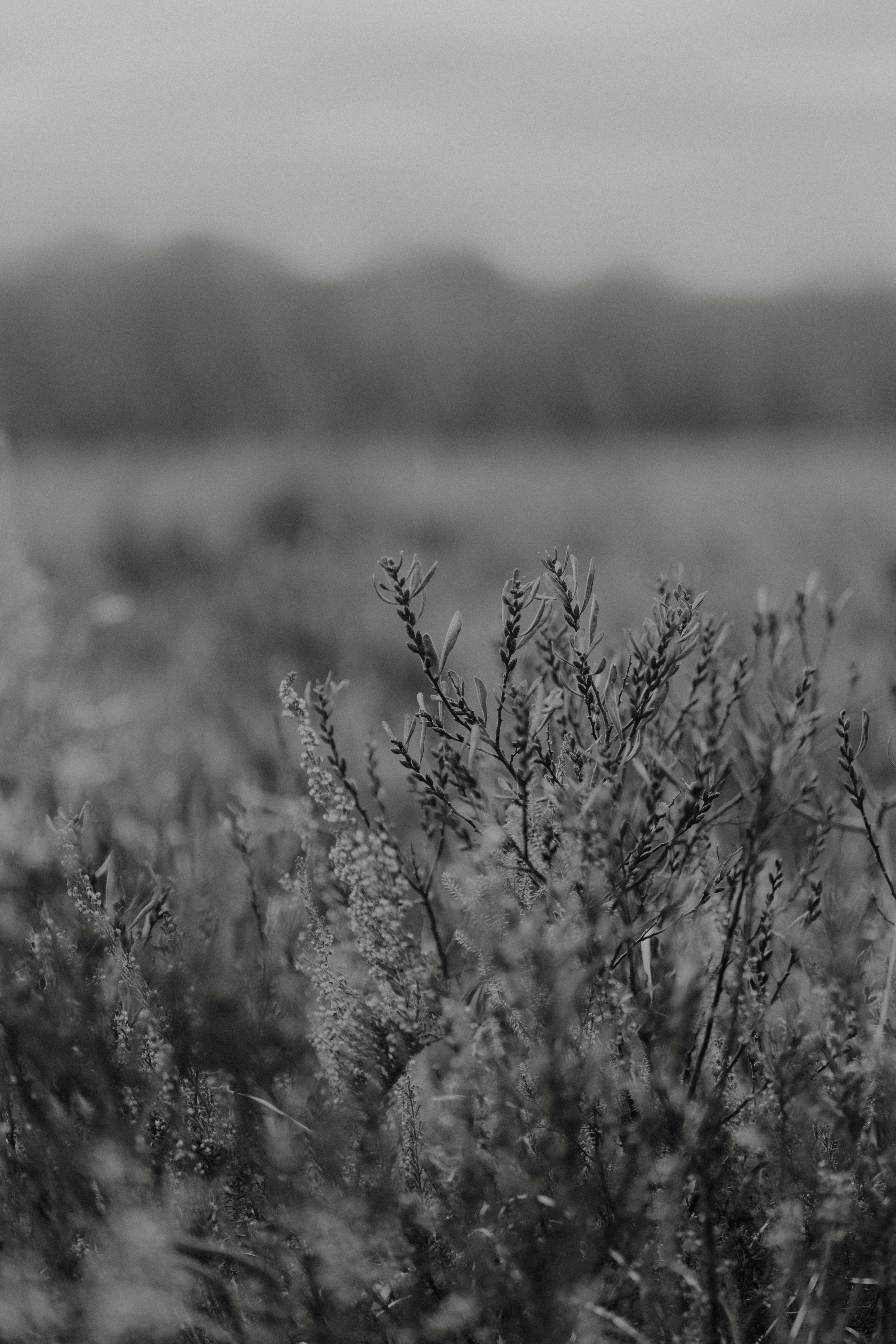 Photo by anniespratt