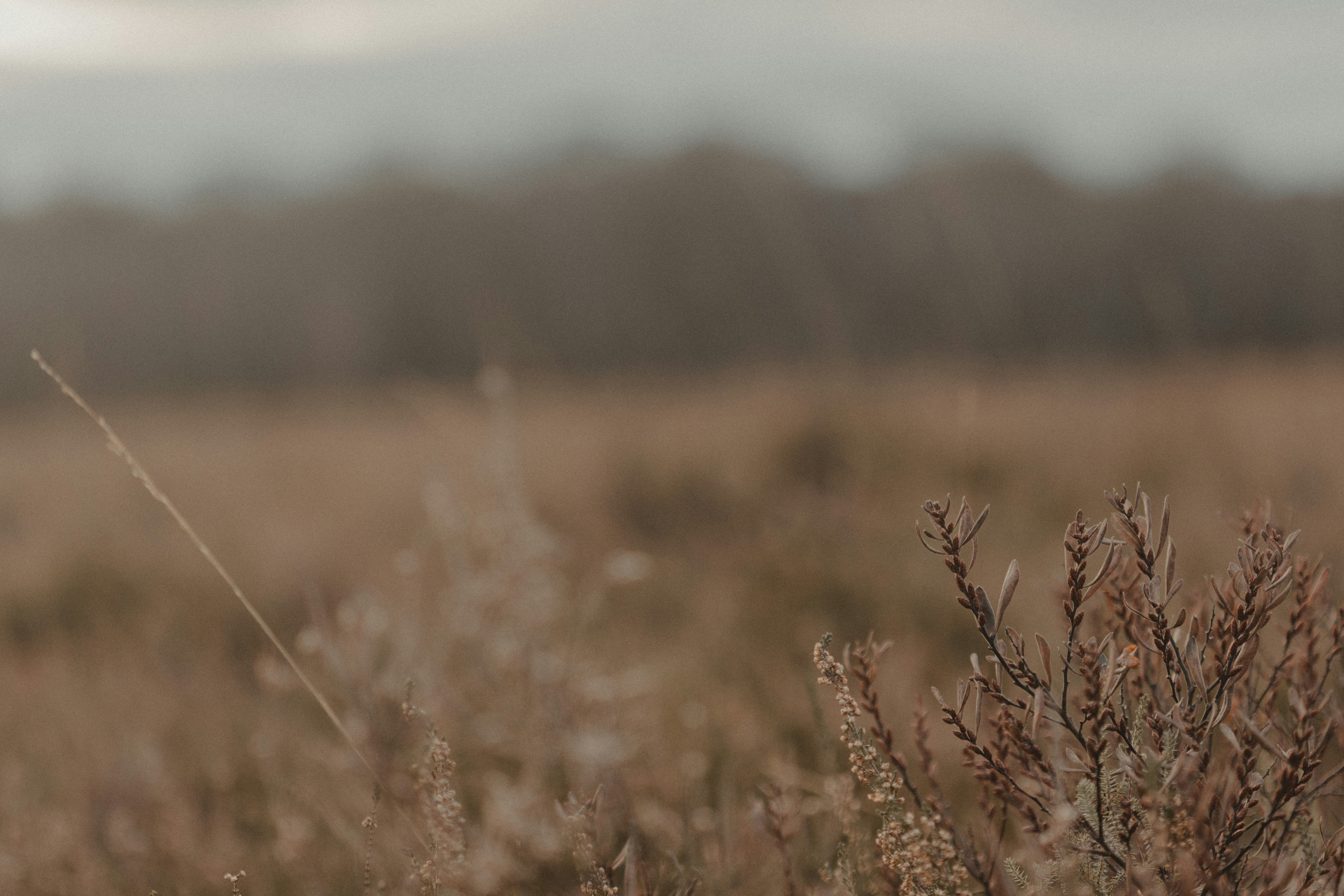 Photo by anniespratt