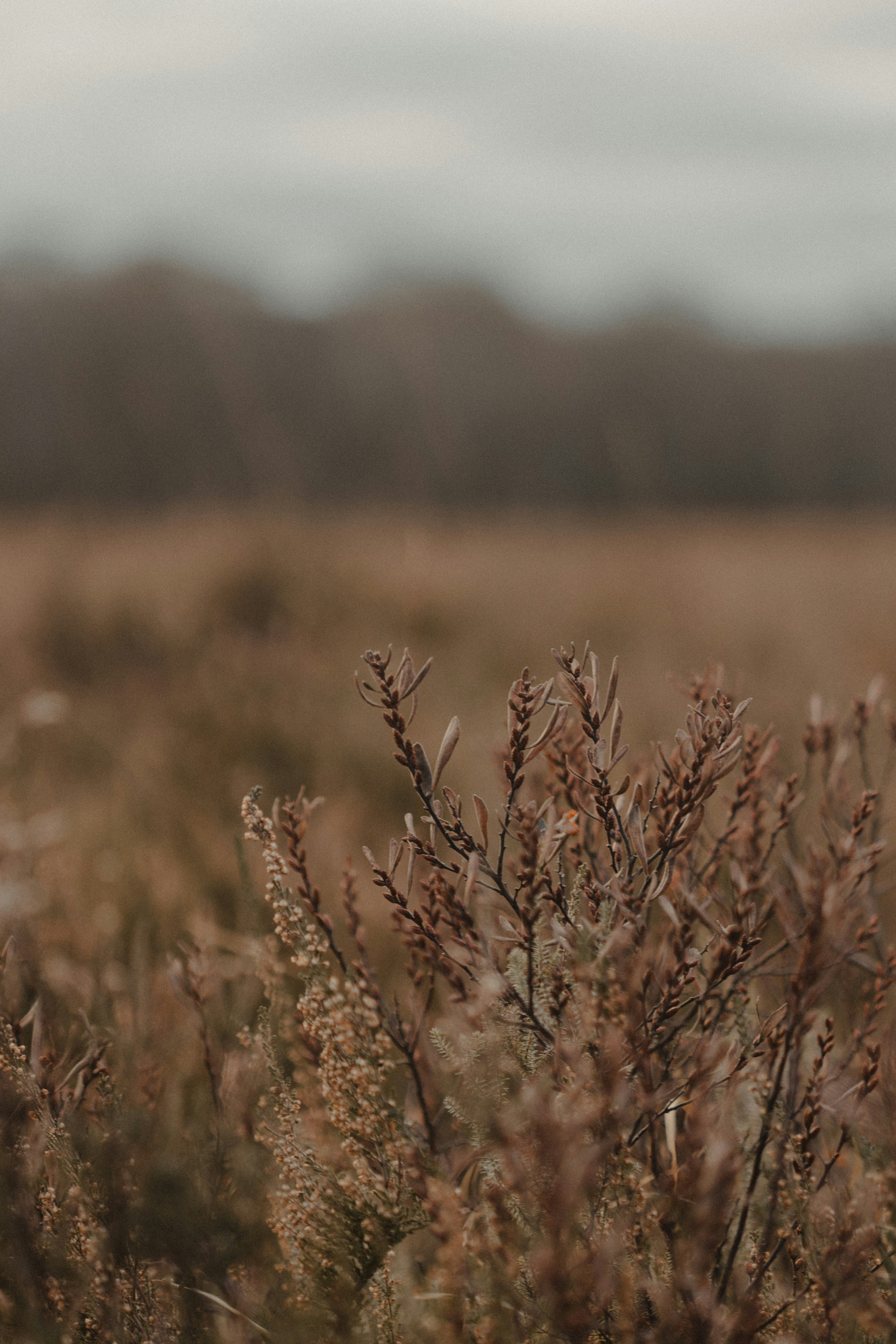 Photo by anniespratt