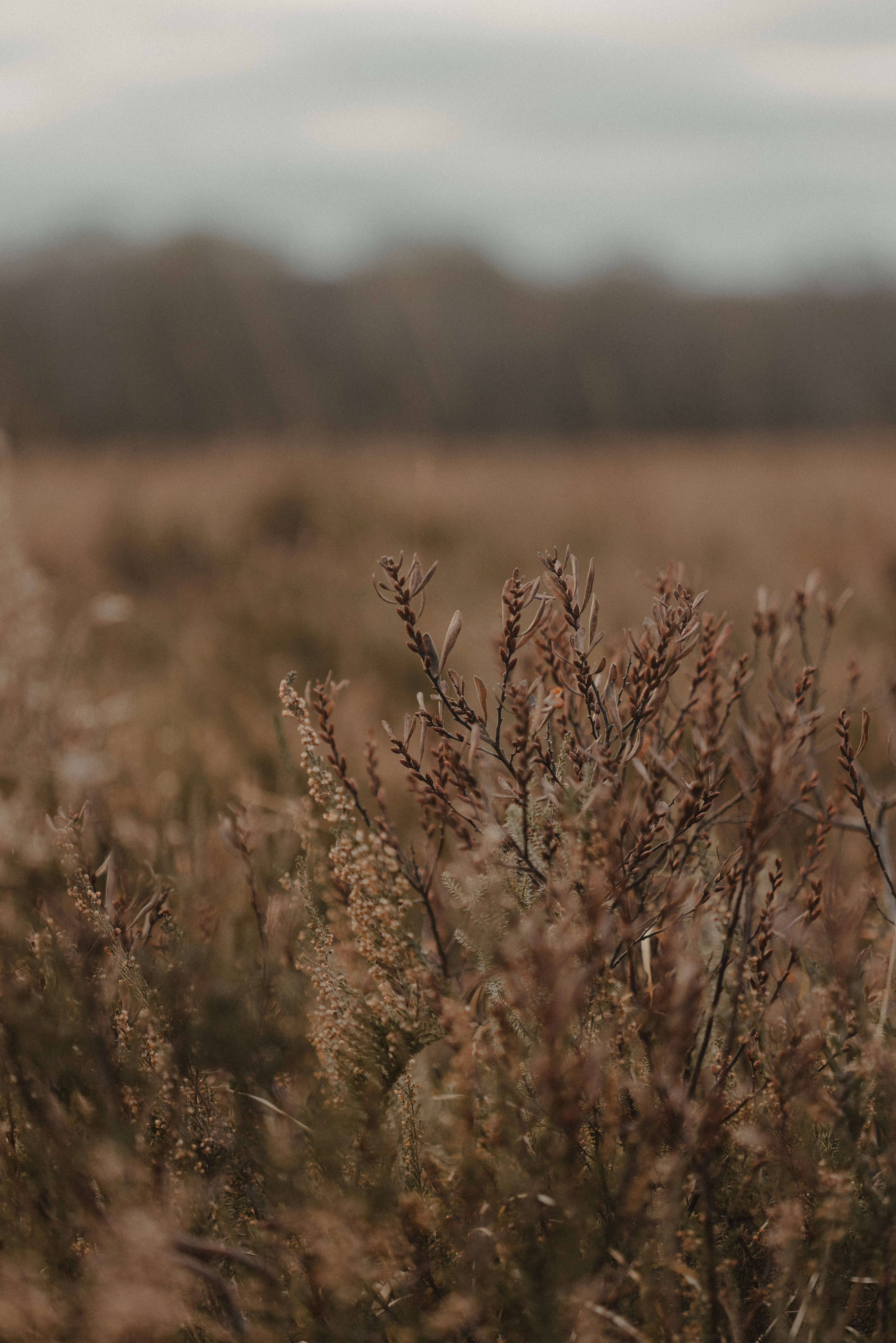 Photo by anniespratt