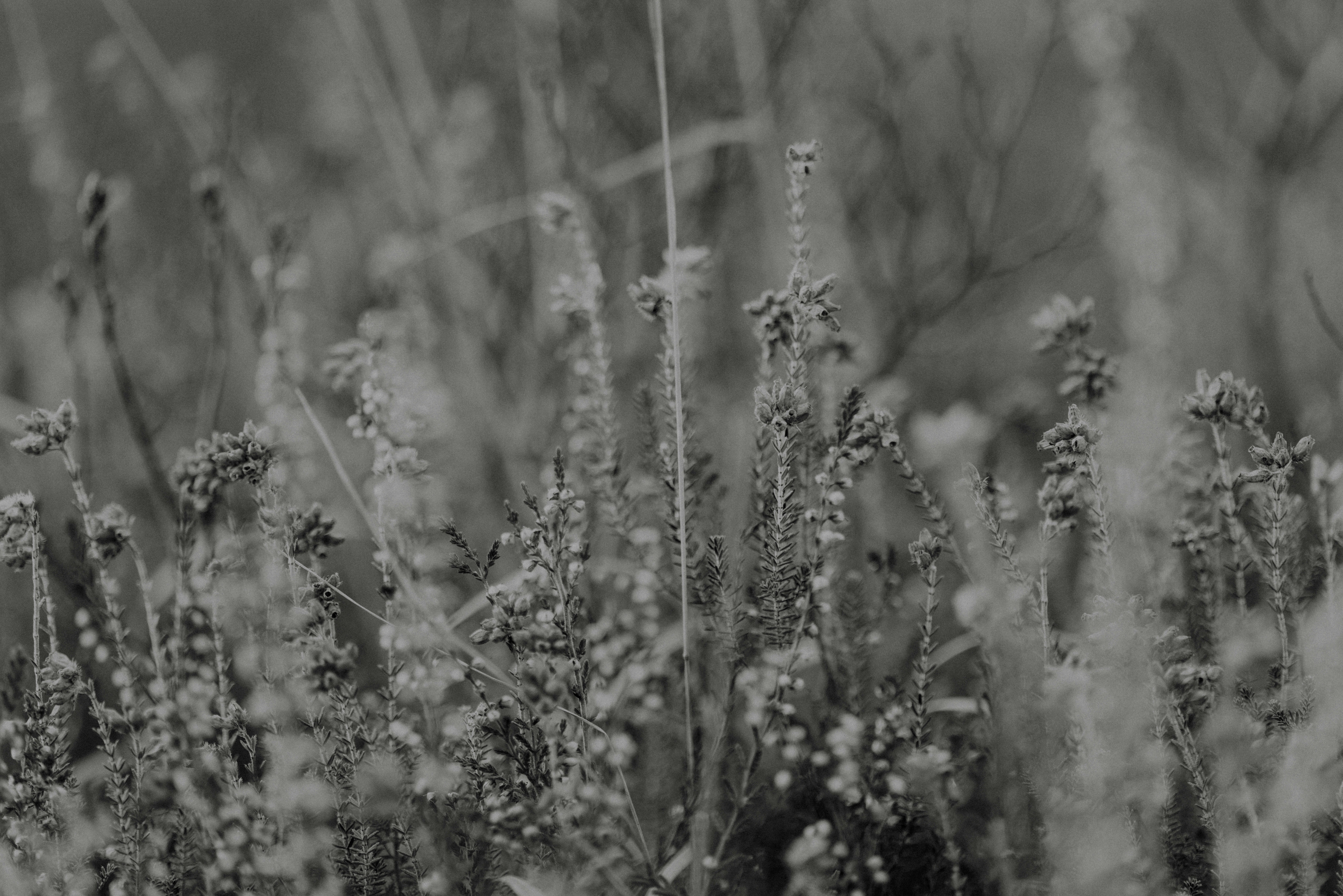 Photo by anniespratt