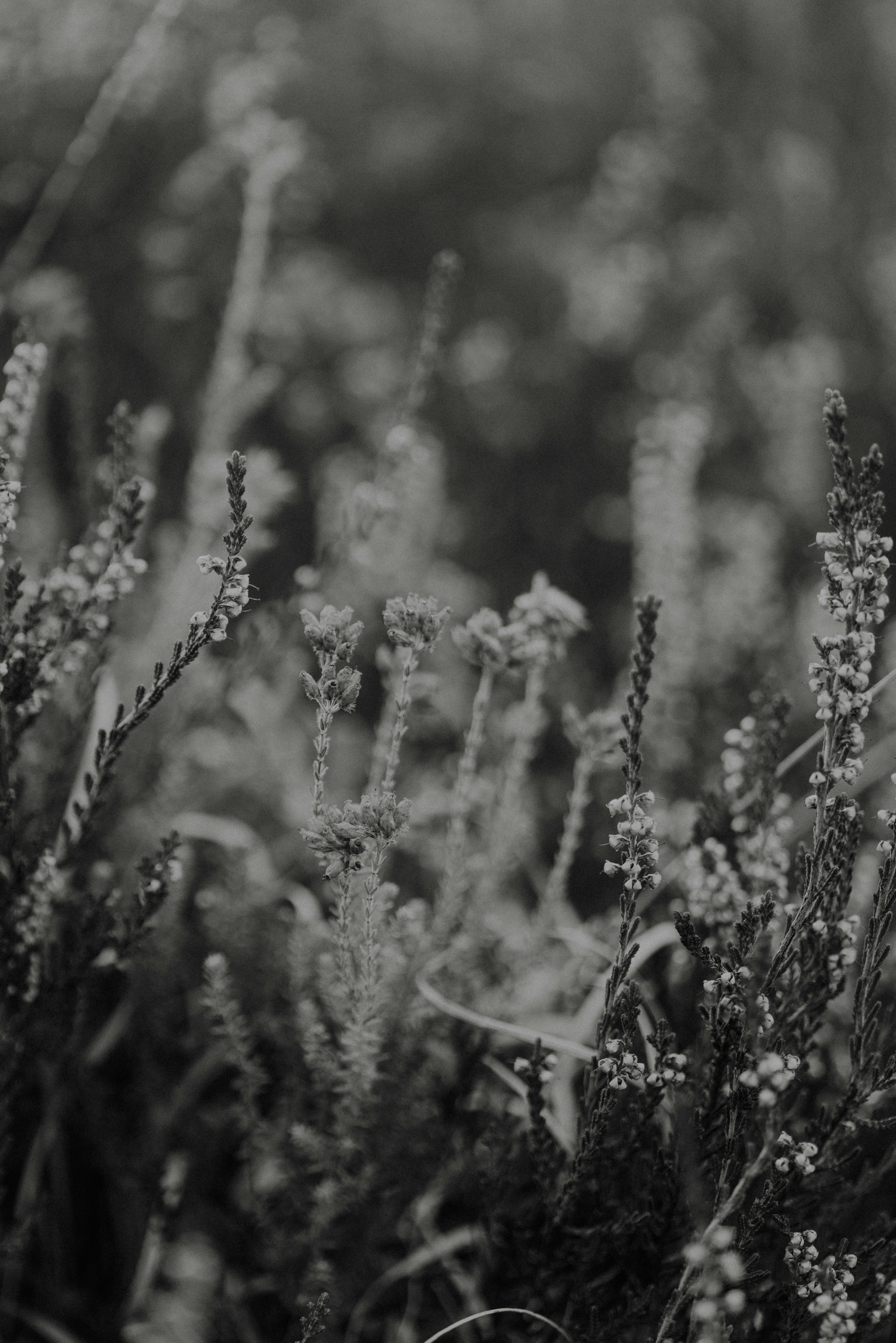 Photo by anniespratt