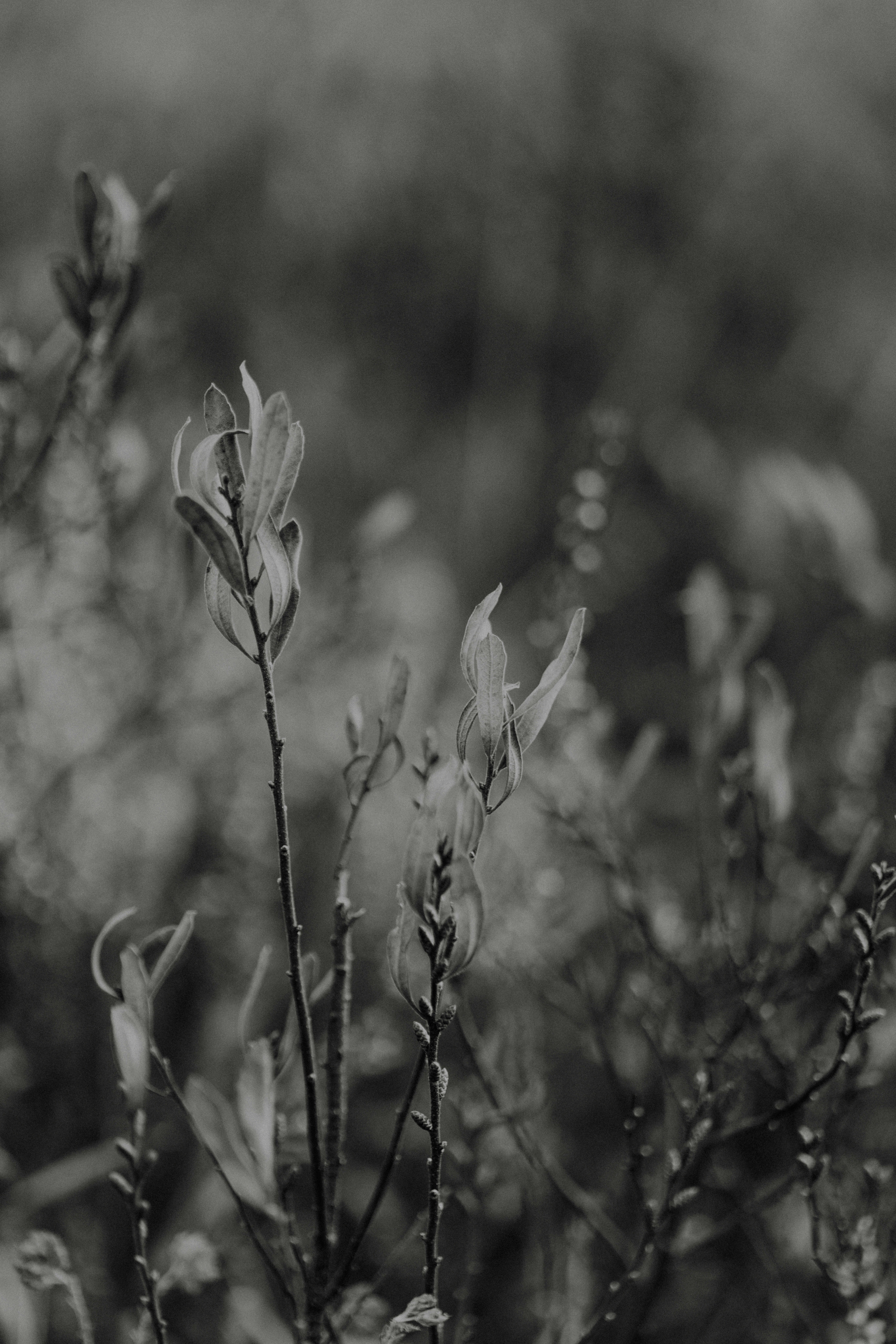 Photo by anniespratt