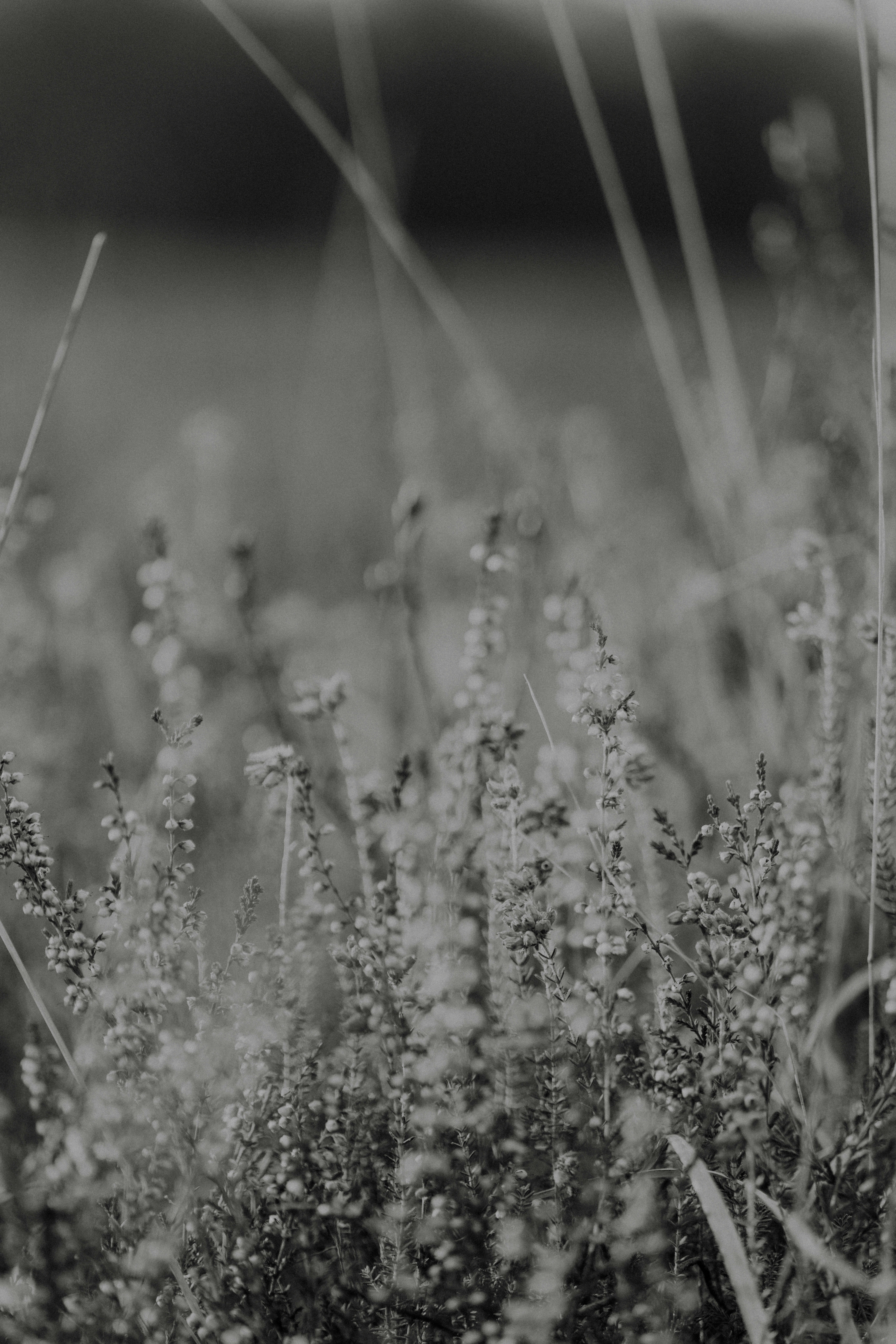 Photo by anniespratt