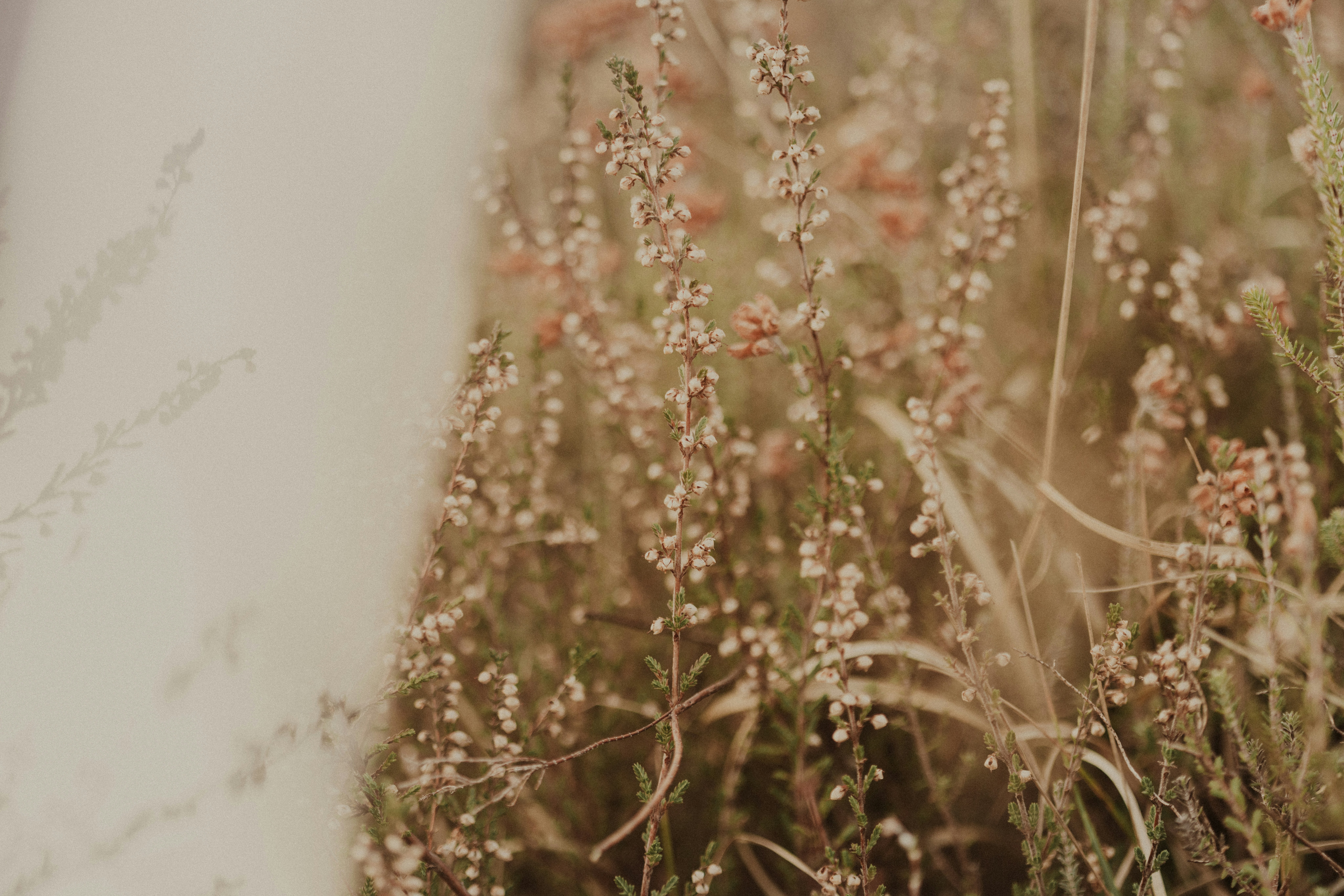 Photo by anniespratt