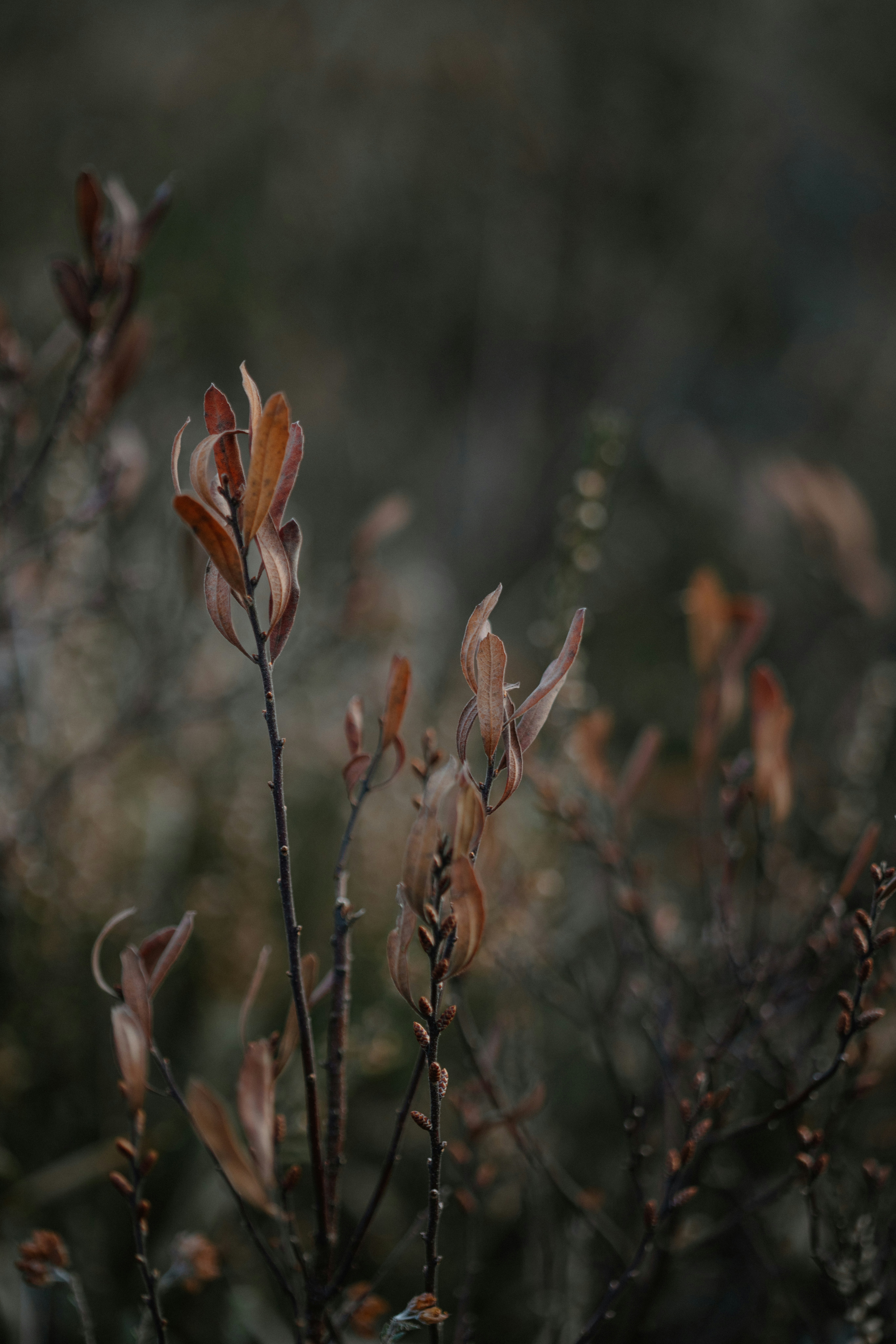 Photo by anniespratt