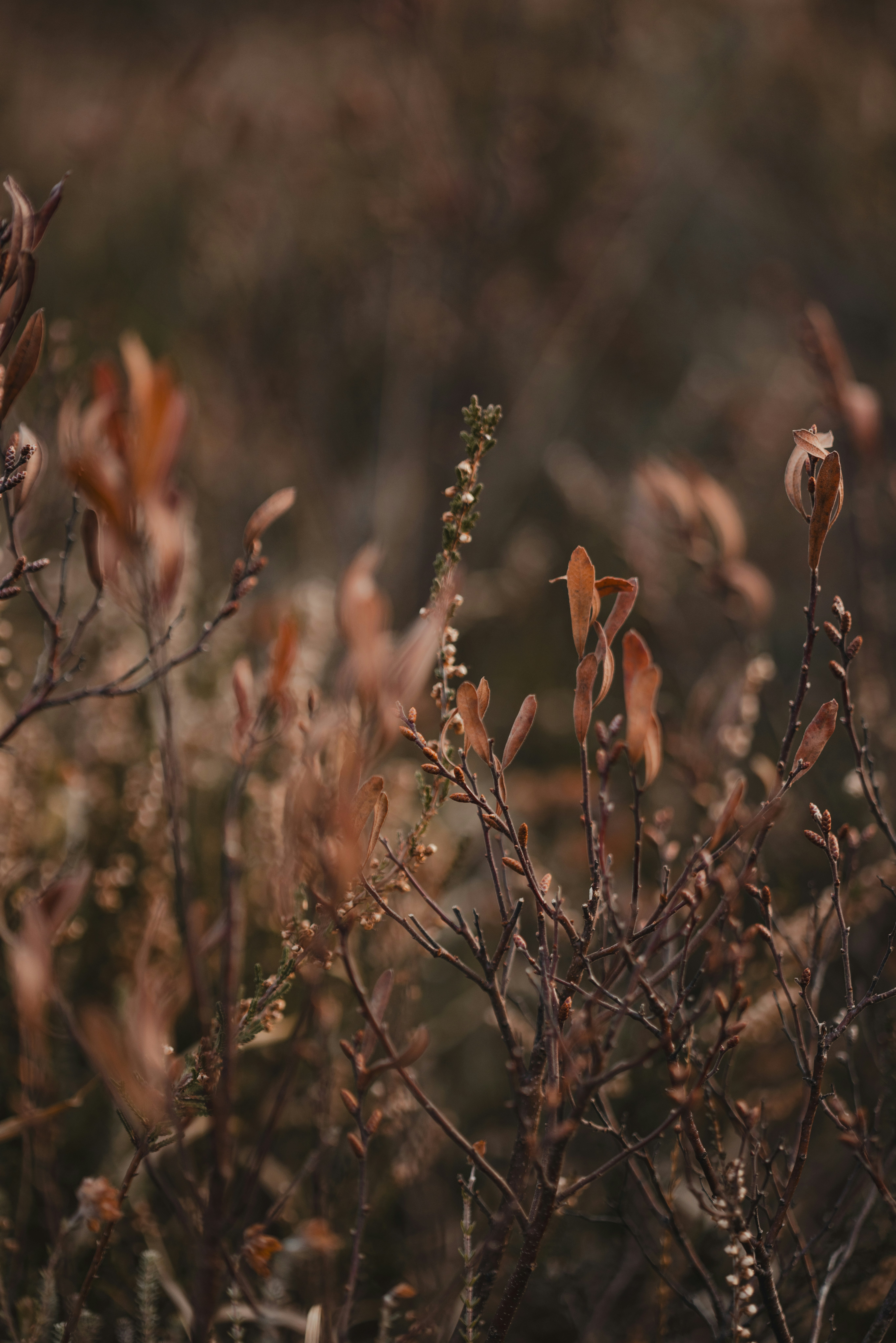 Photo by anniespratt