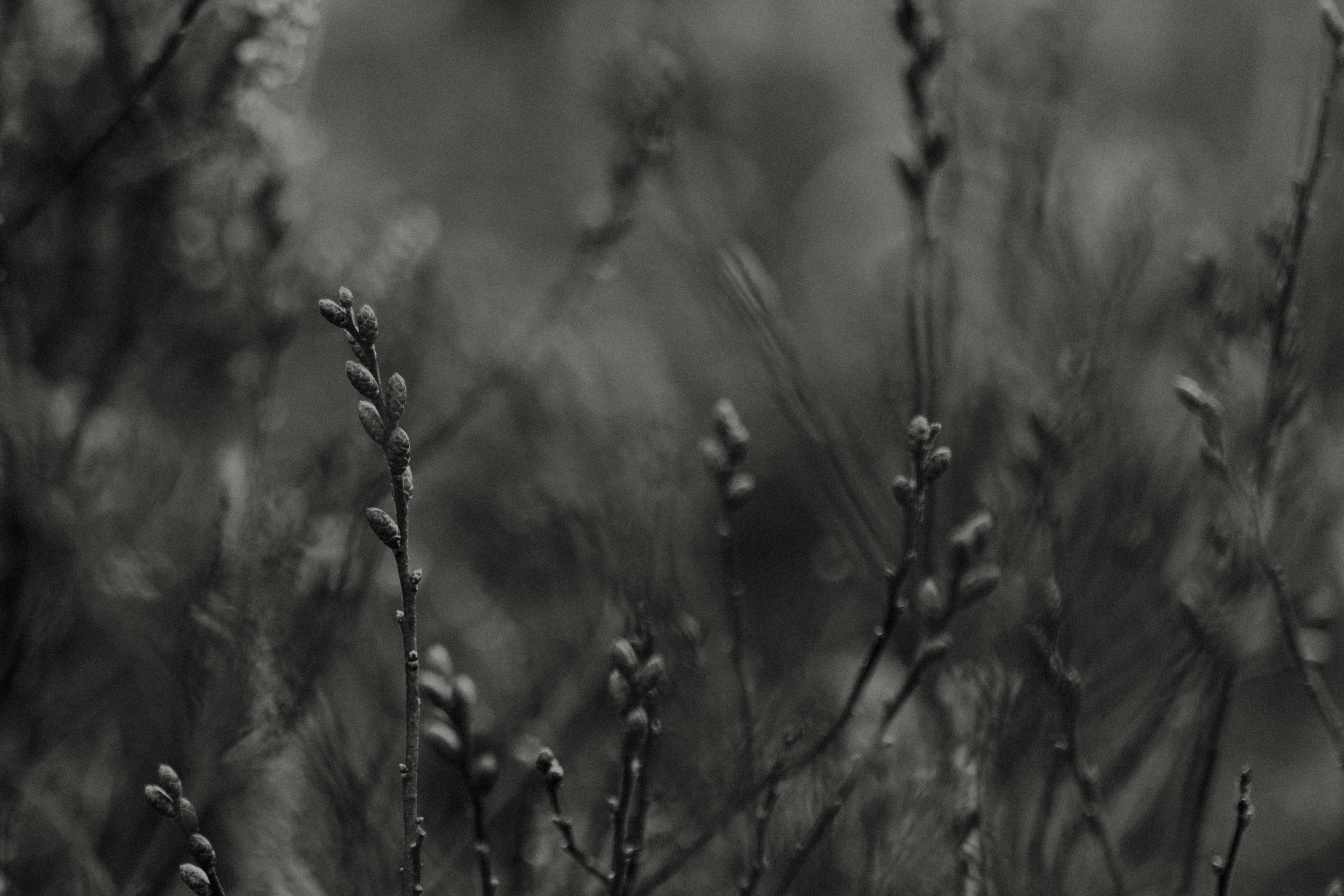 Photo by anniespratt