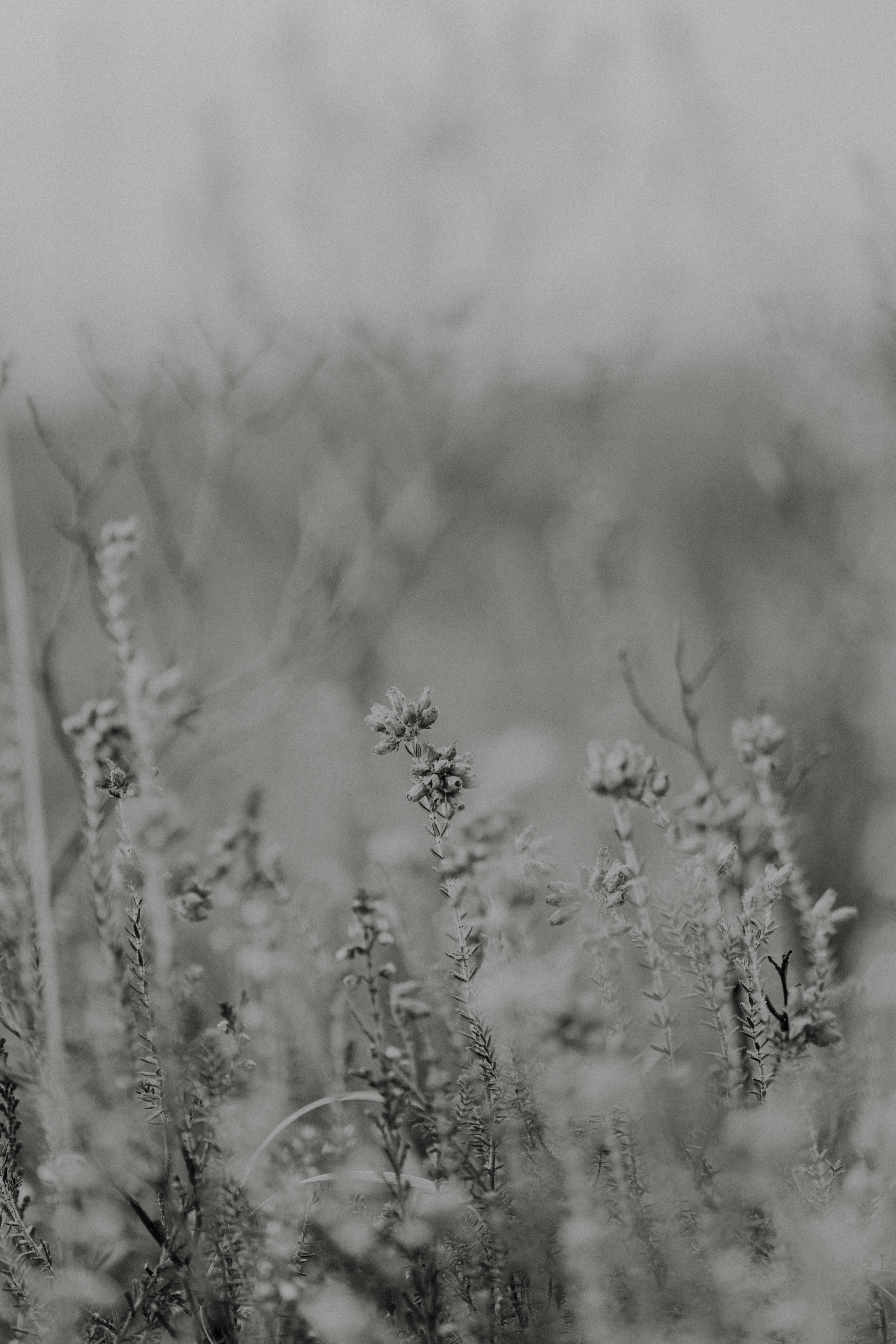 Photo by anniespratt